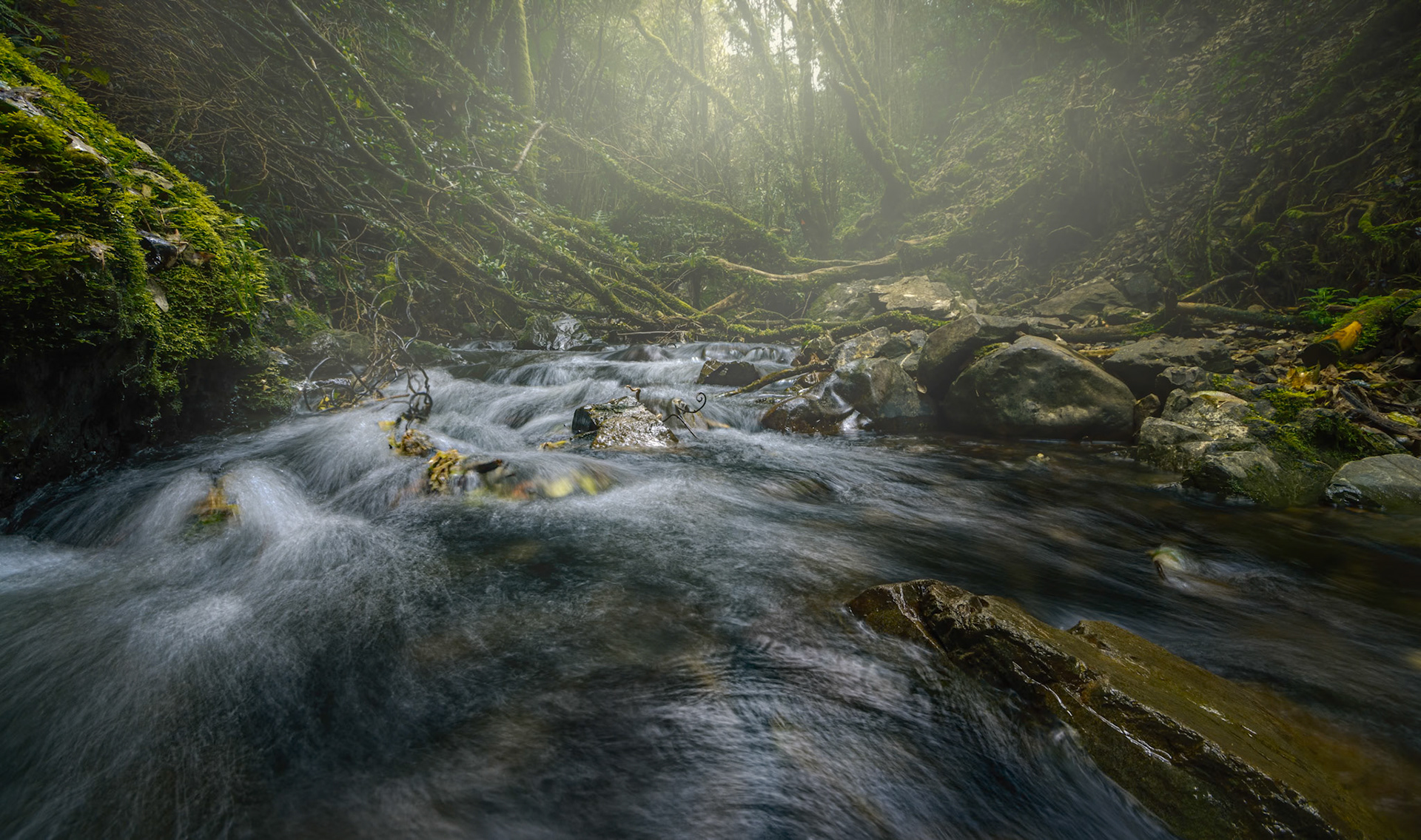 Dry Creek Waterfall Track, Wellington, NZ