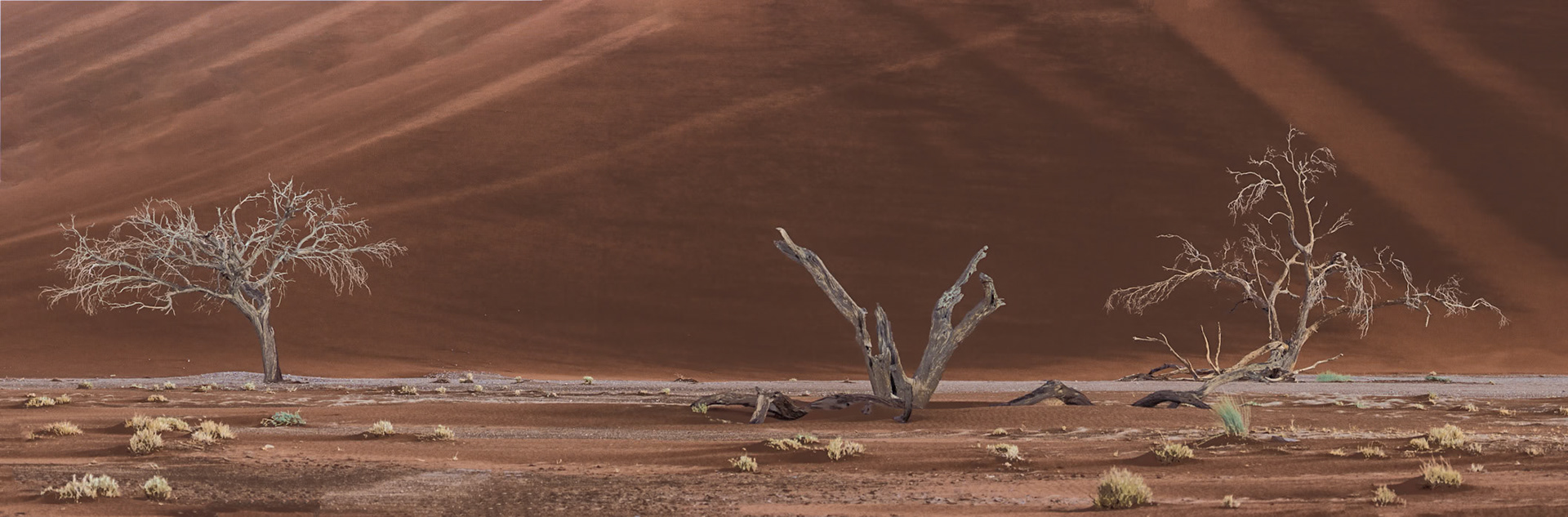 Namib-Naukluft National Park