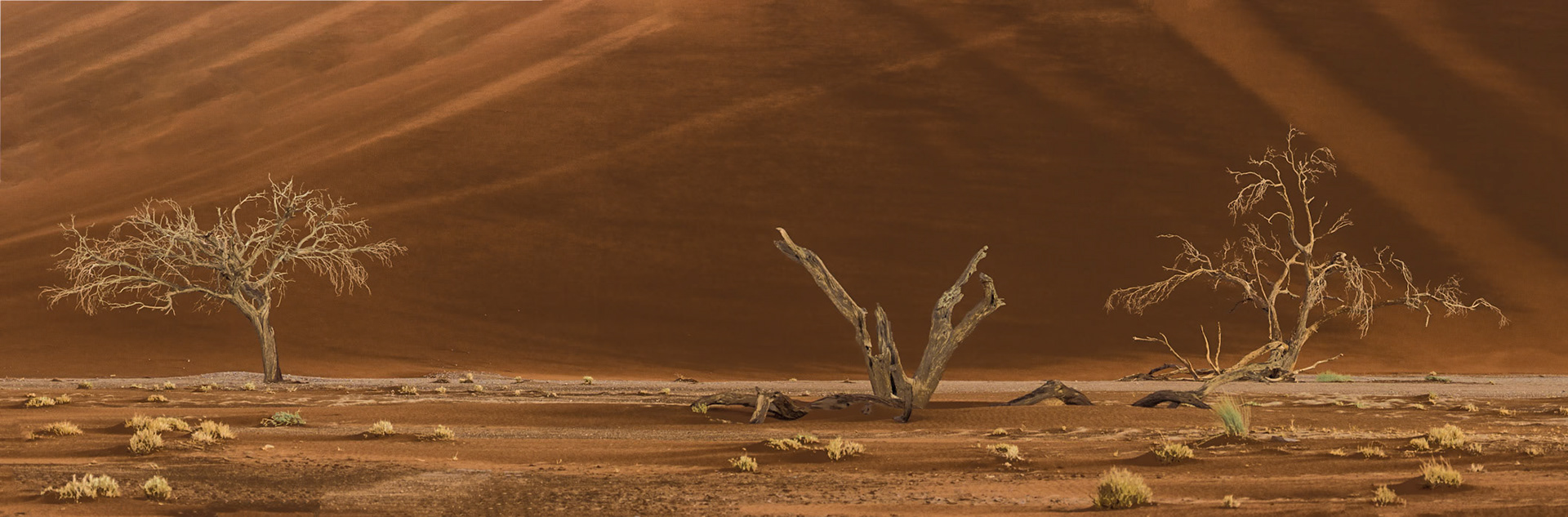 Namib-Naukluft National Park