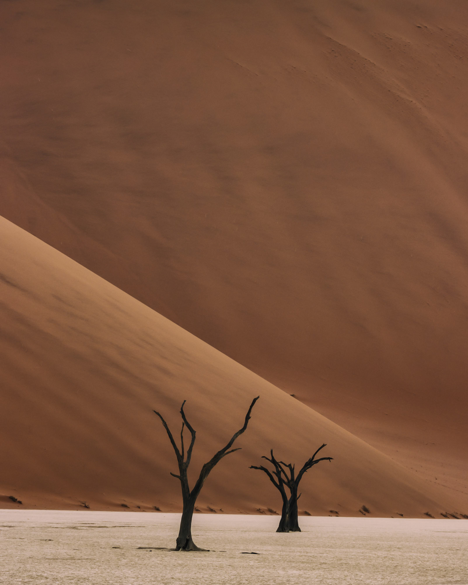 Namib-Naukluft National Par