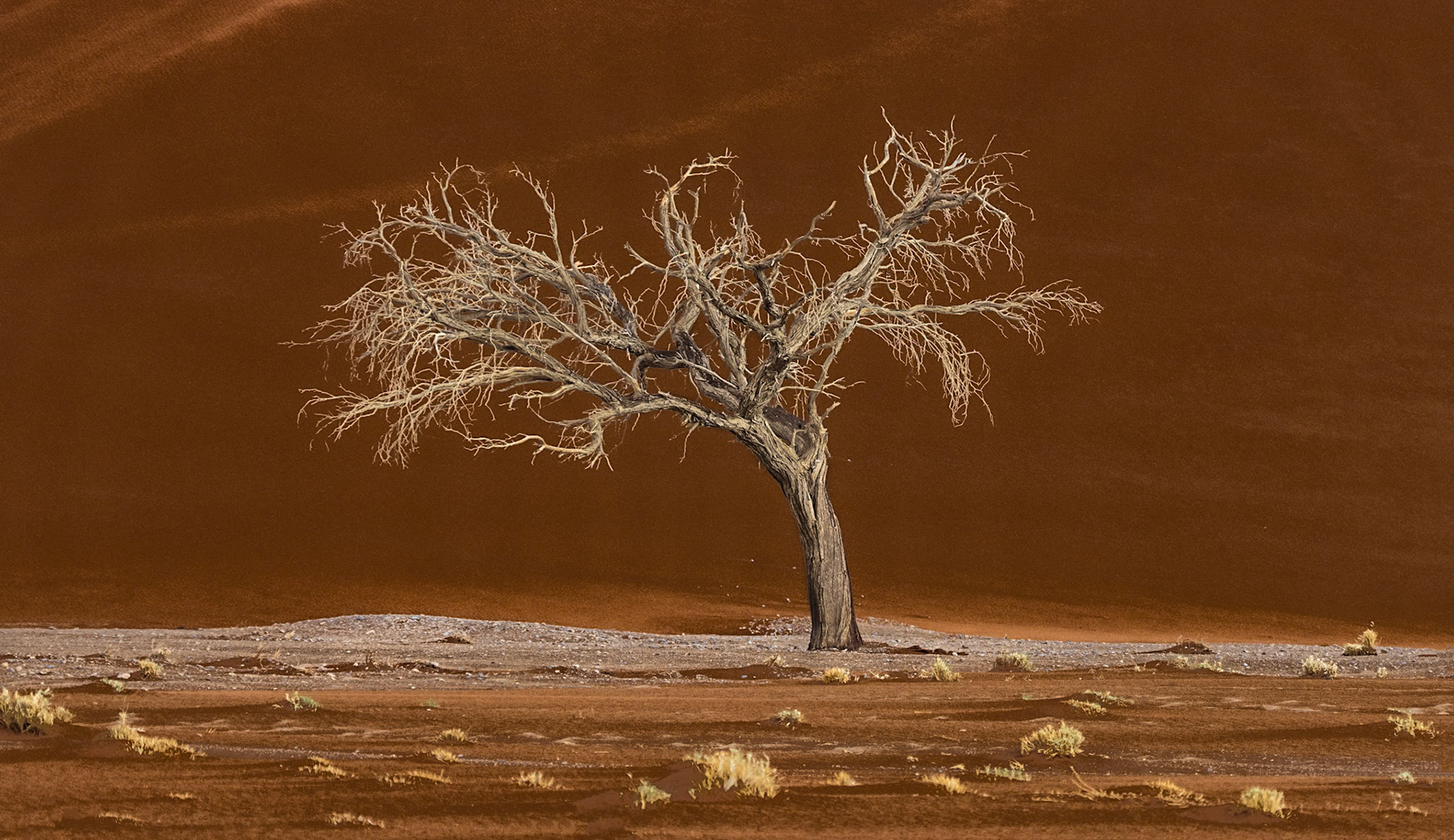Namib-Naukluft National Park