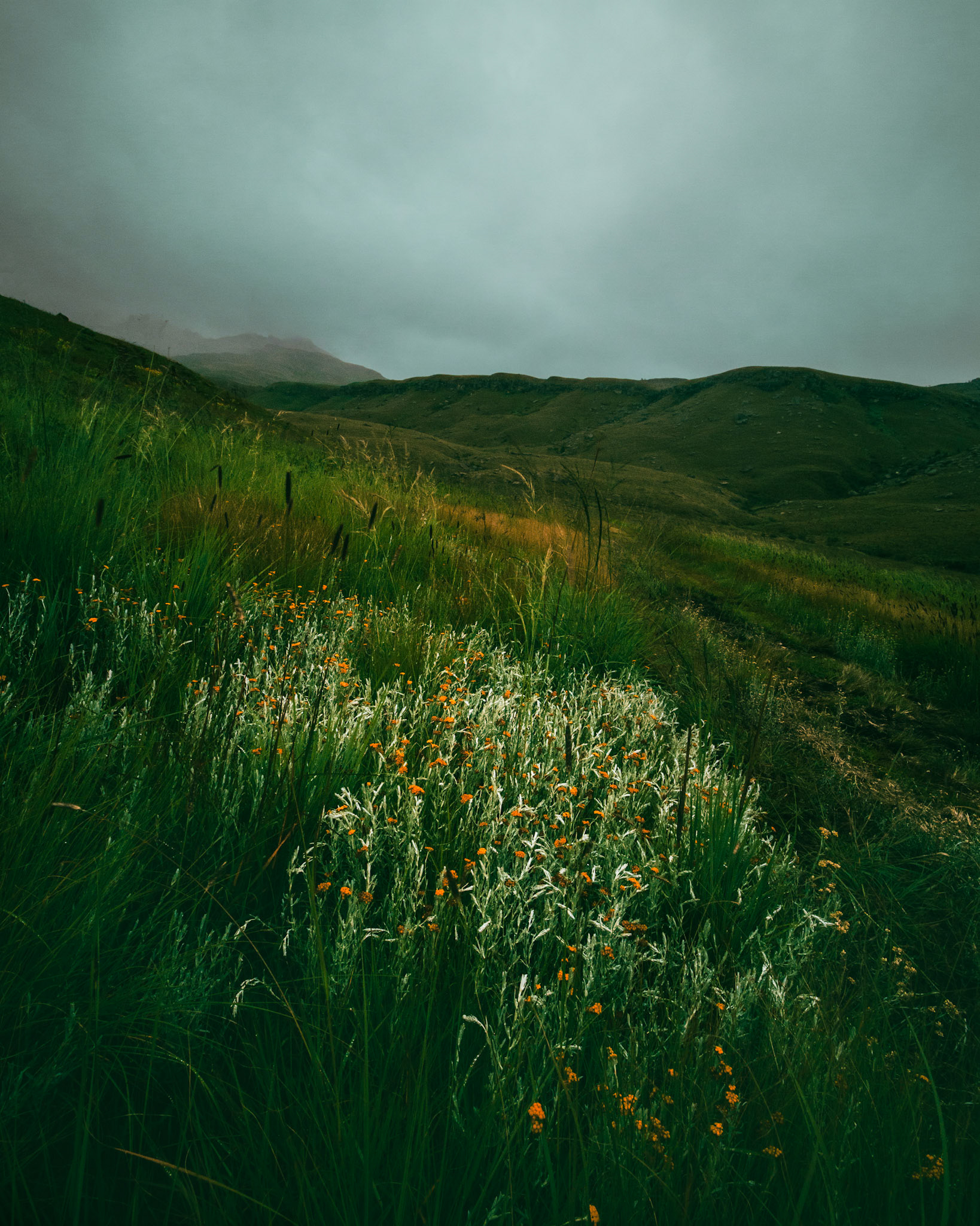 Drakensberg, SA