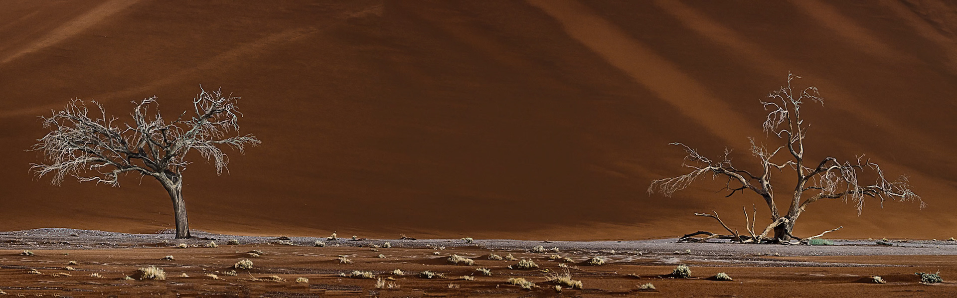 Namib-Naukluft National Park
