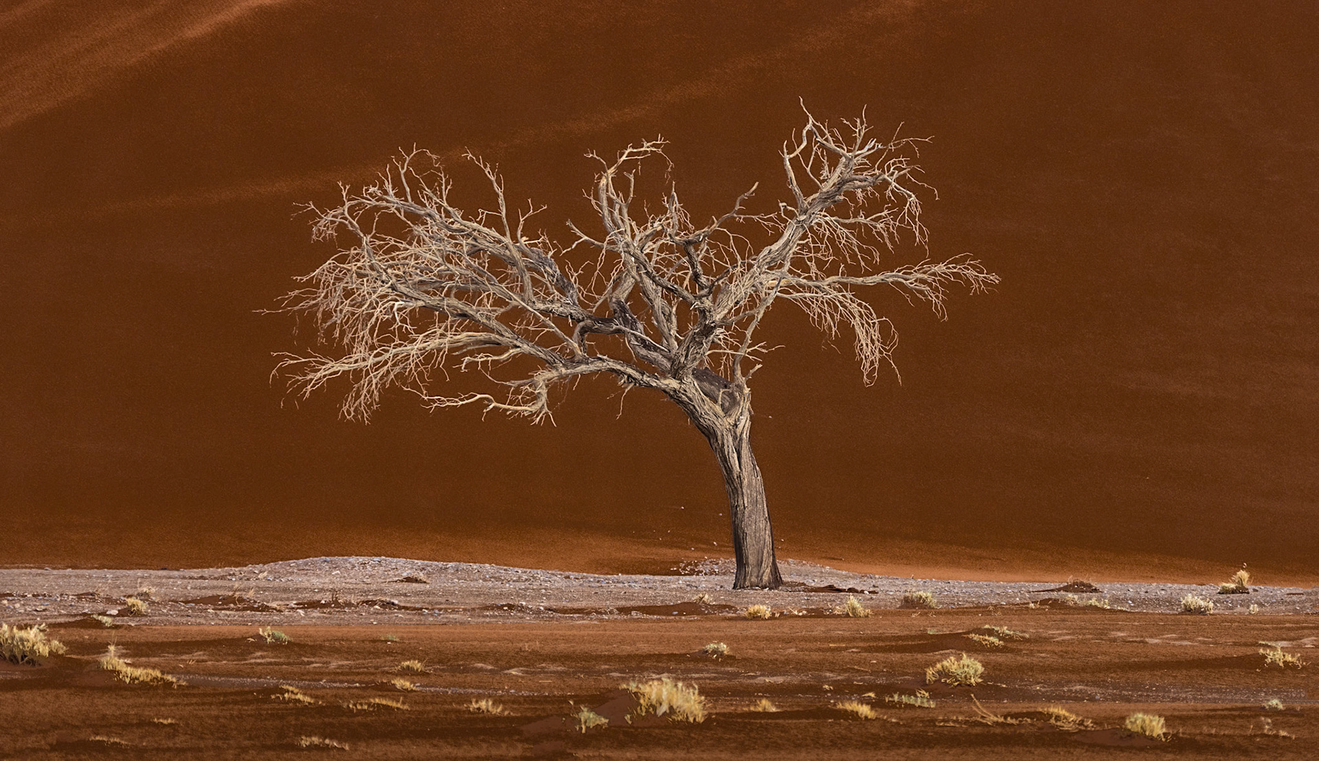 Namib-Naukluft National Park