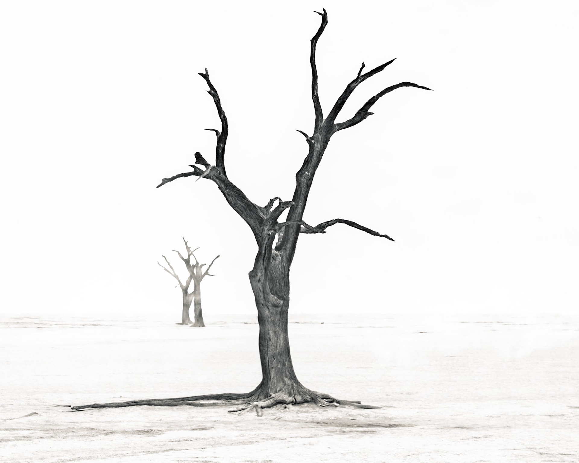 Namib-Naukluft National Park