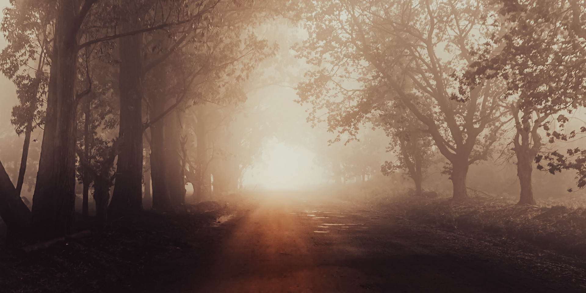 "Early Morning Mist", Mpumalanga, SA
