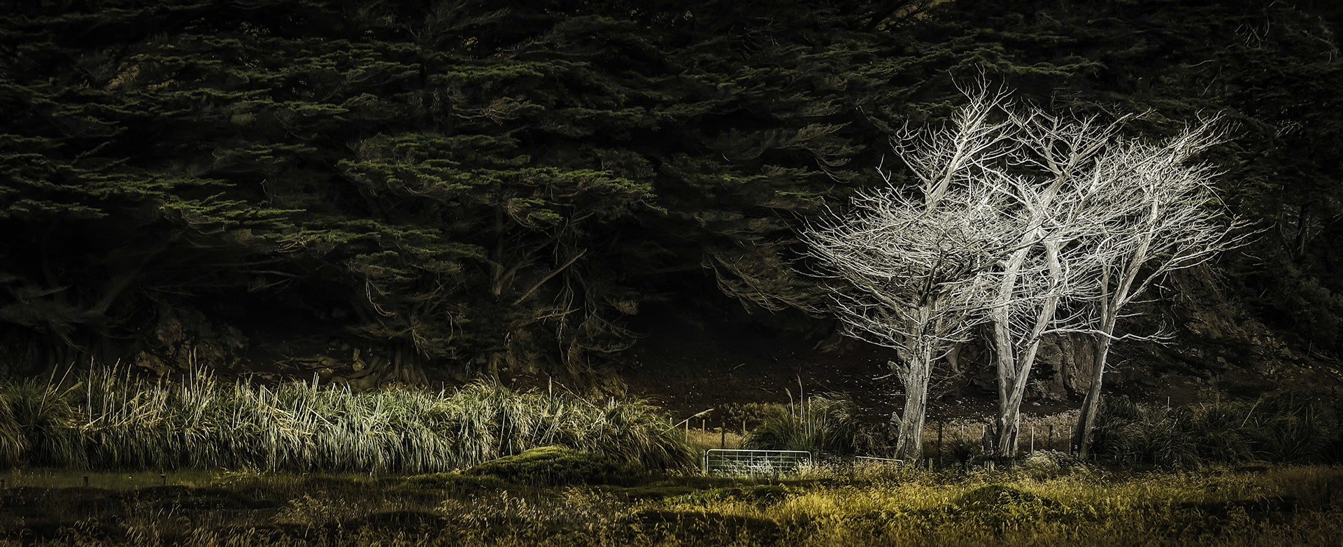 Makara, North Isalnd, NZ