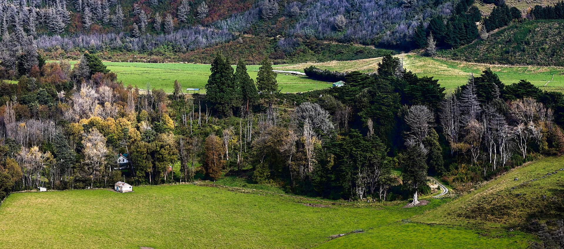 South Island, NZ