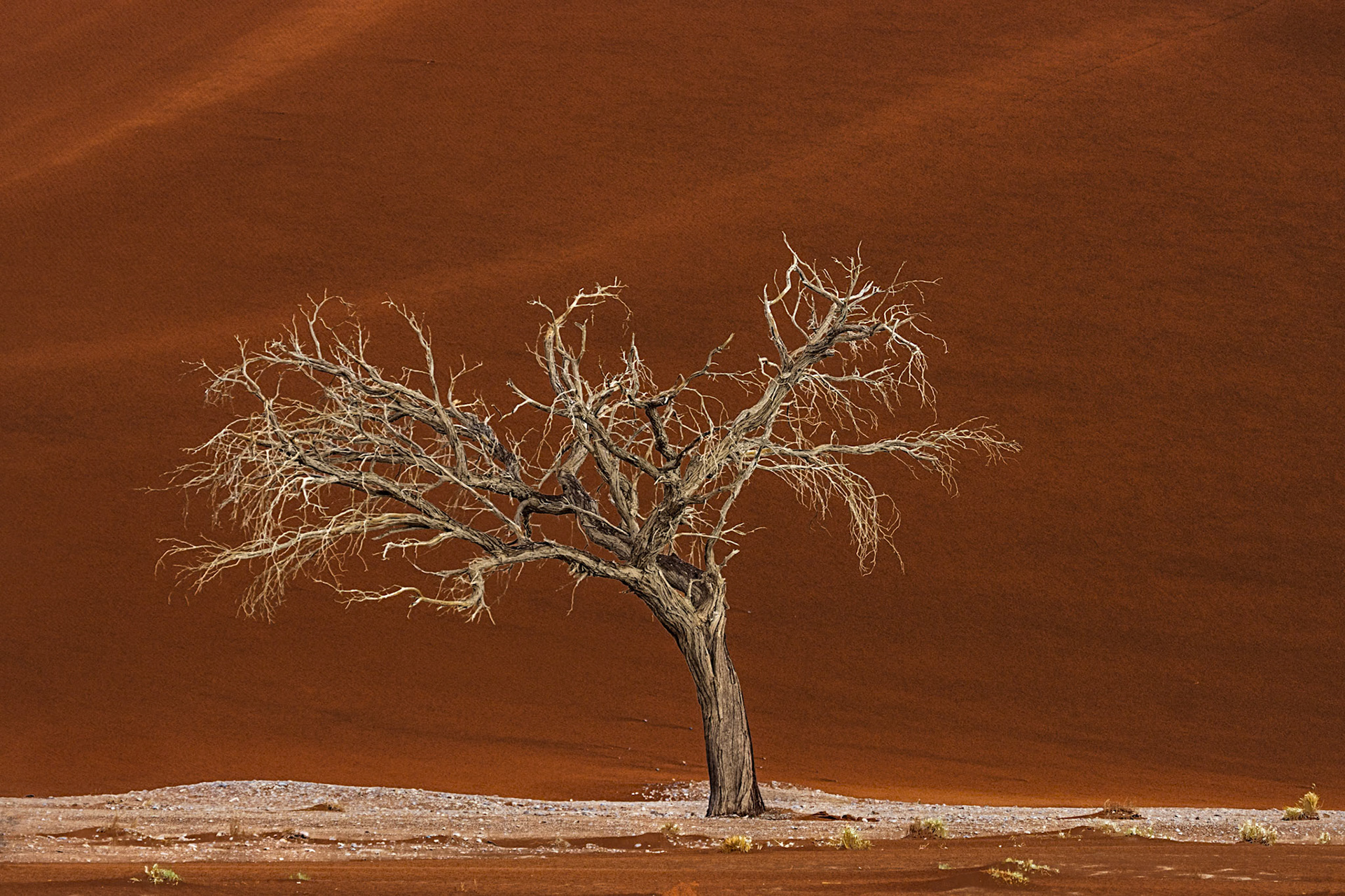 Namib-Naukluft National Park