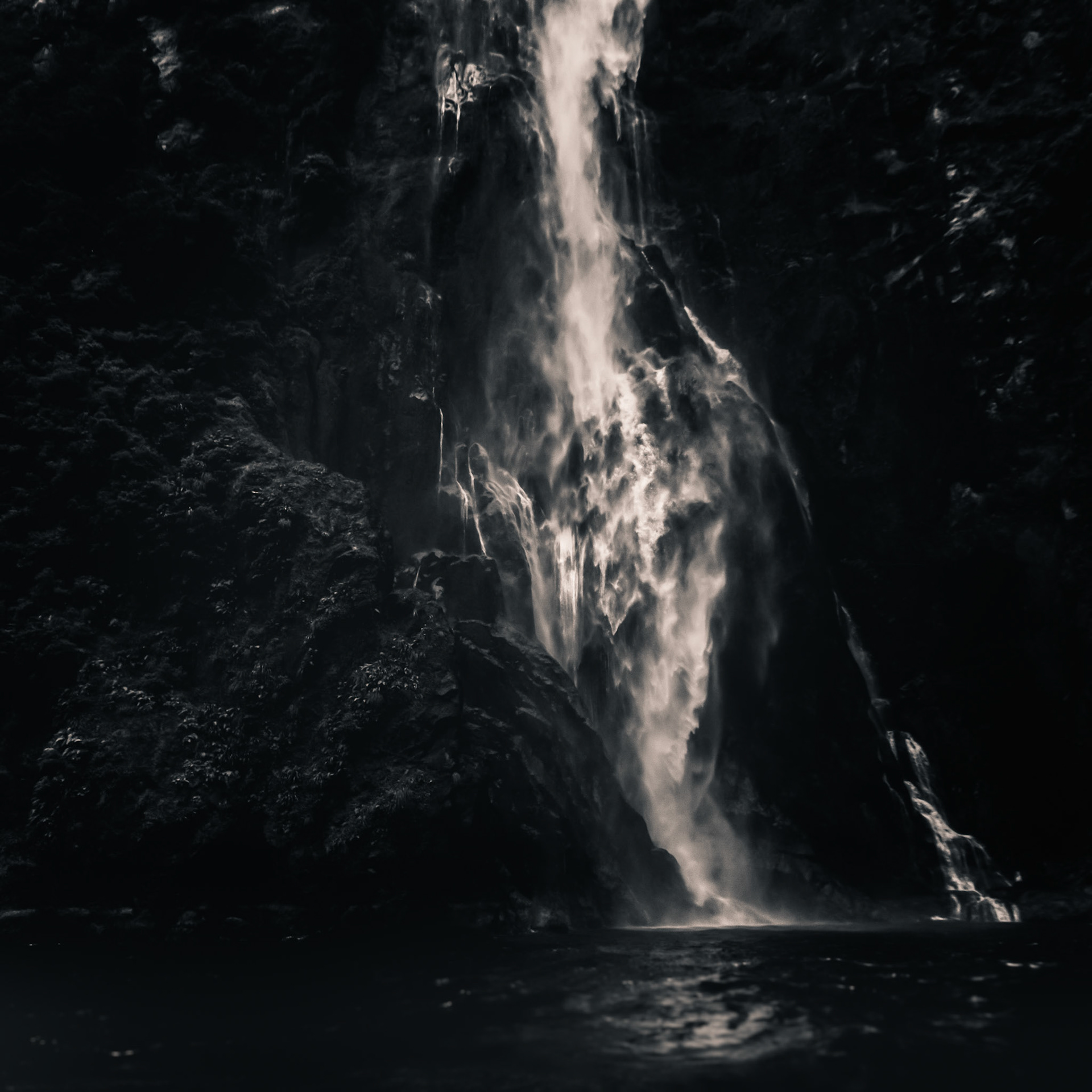 Milford Sound, South Island, NZ