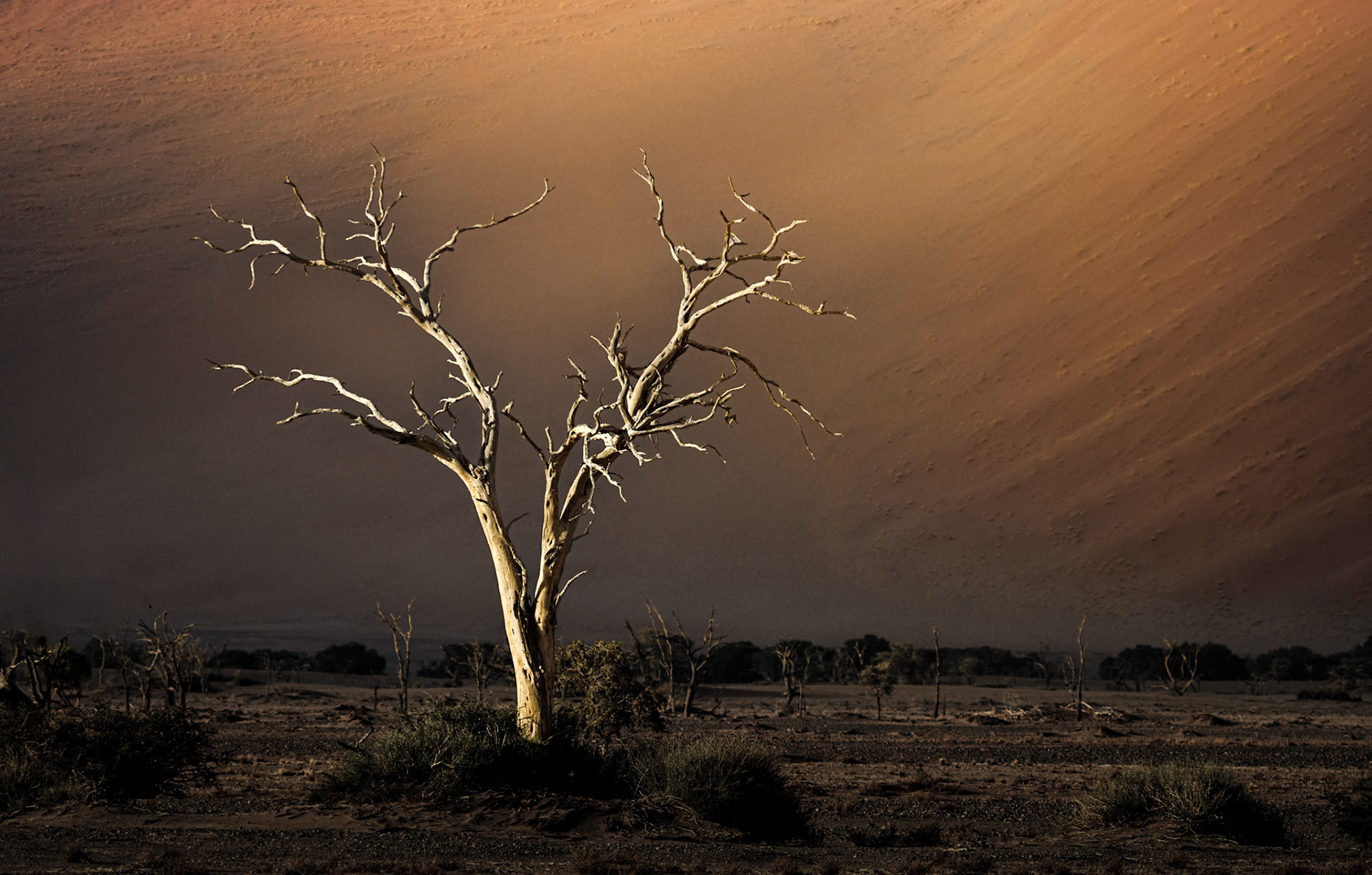 Namib-Naukluft National Park