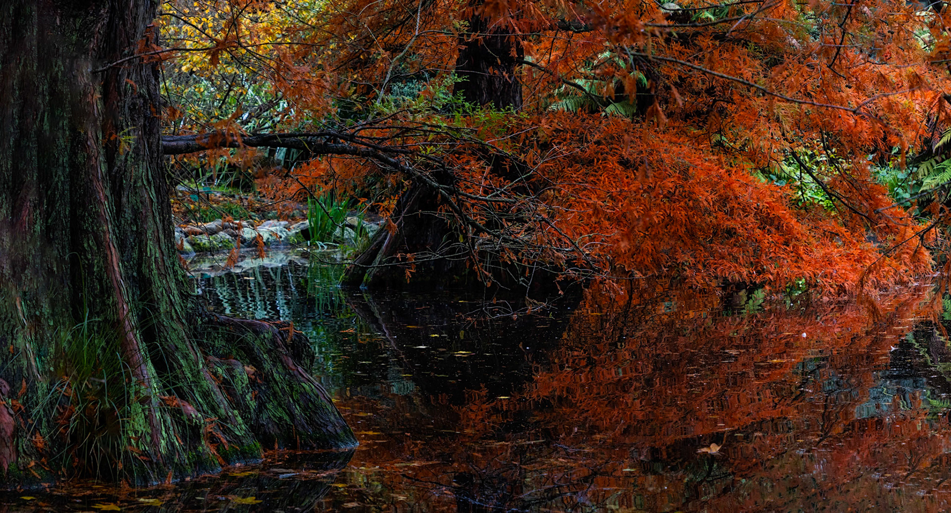 Botanical gardens, Christchurch, New Zealand