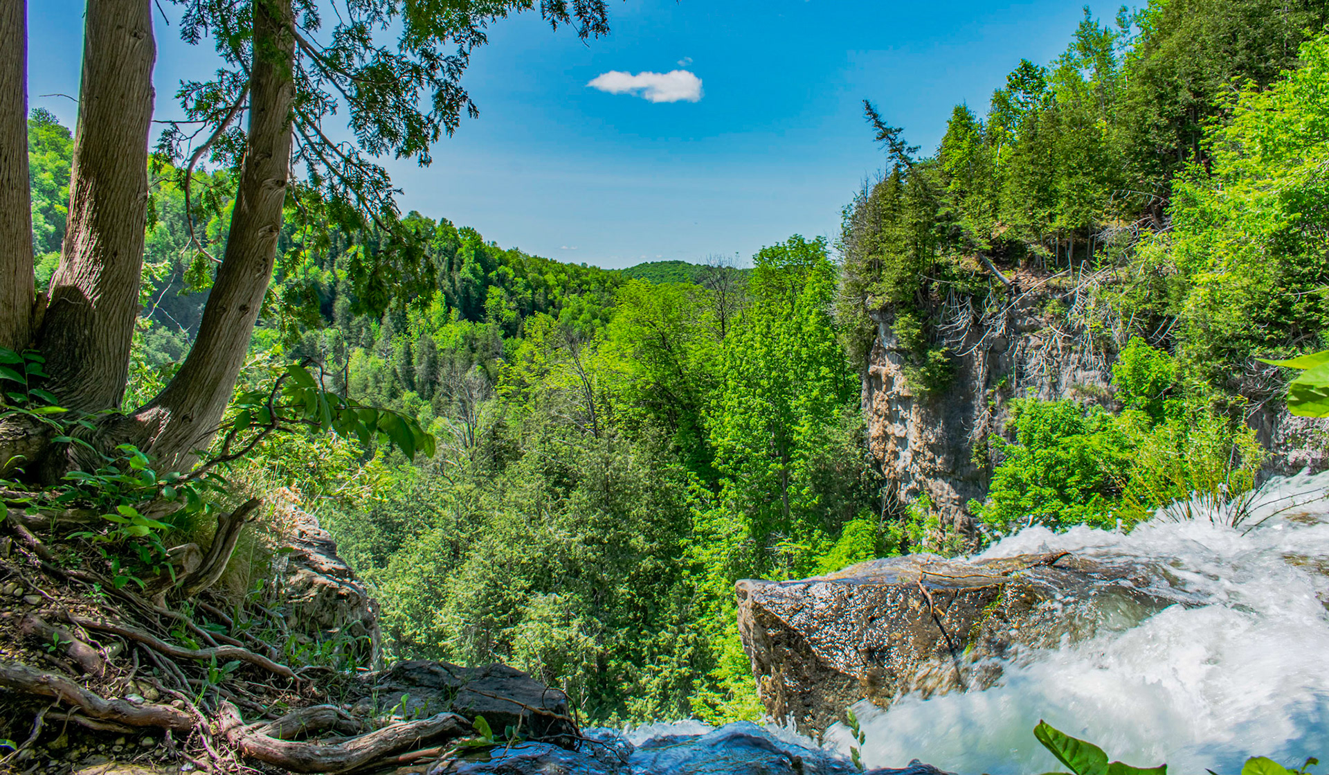 Eugenia Falls