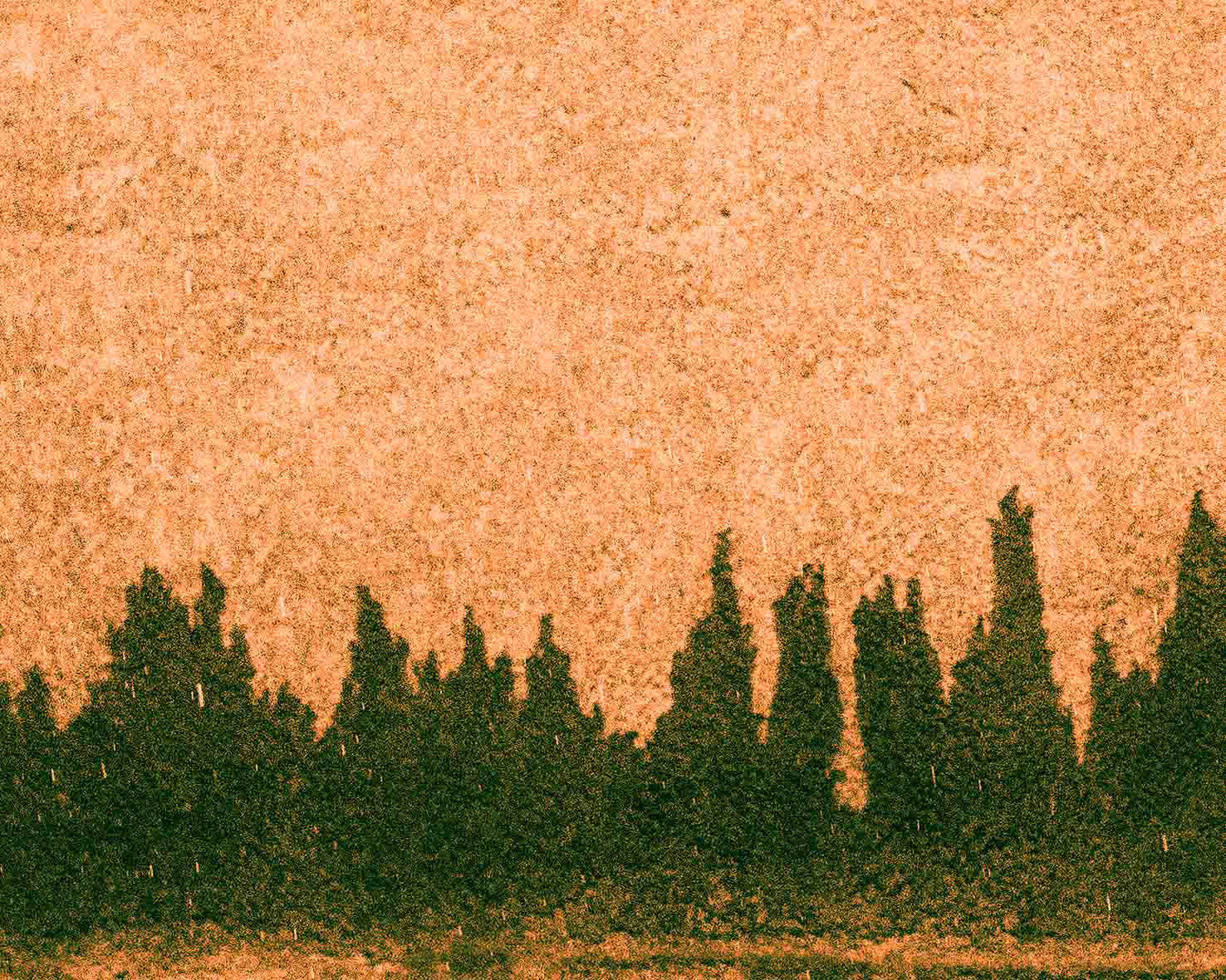IOHWIT 3 (Detail)