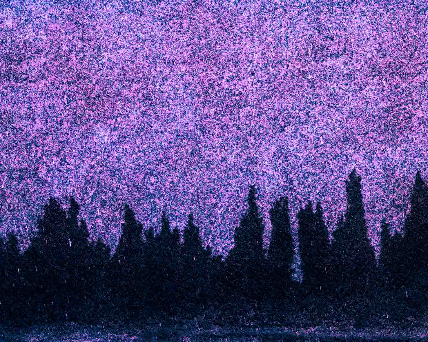 IOHWIR 2 (Detail)