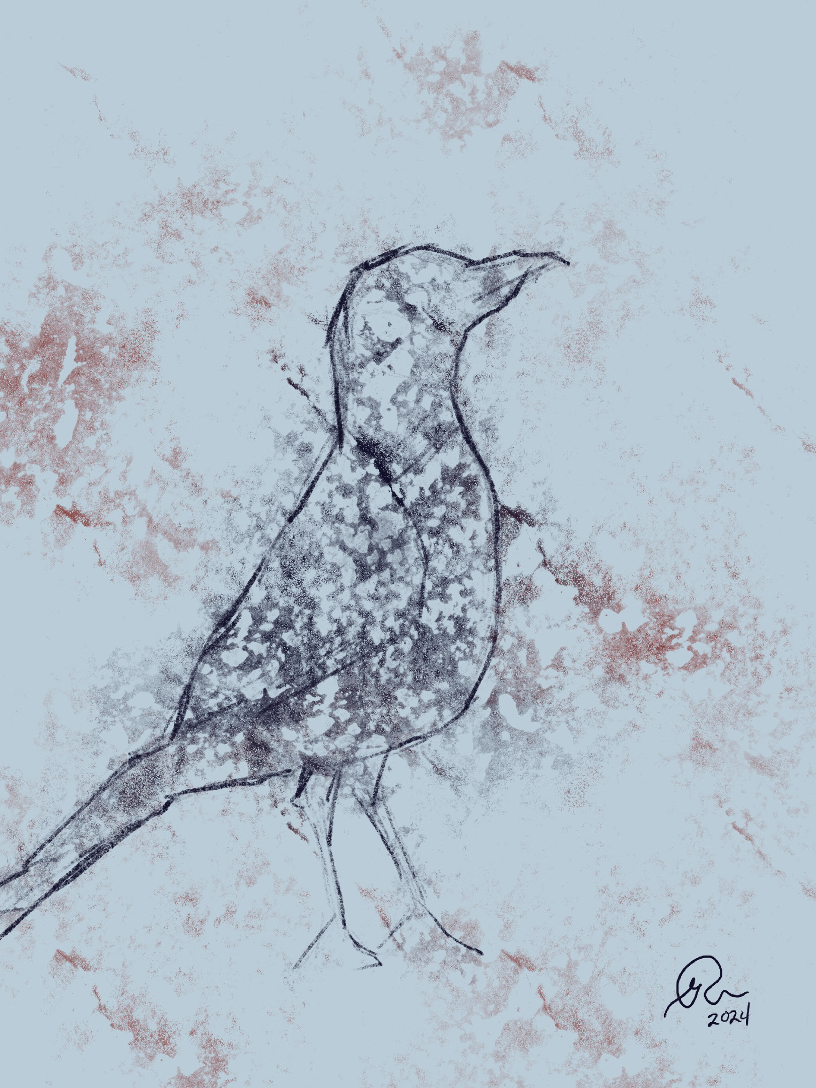 Robin