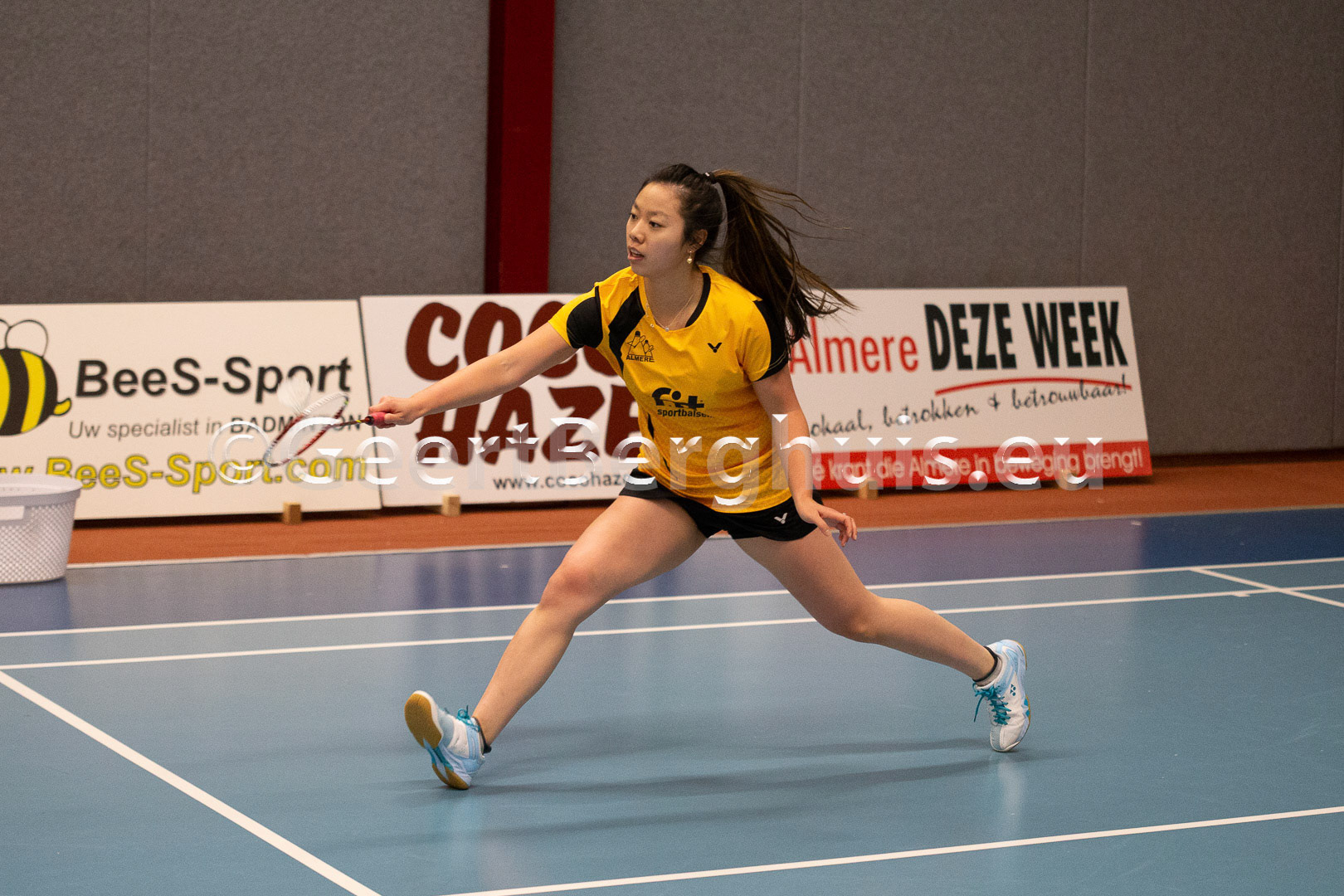 Alida Chen