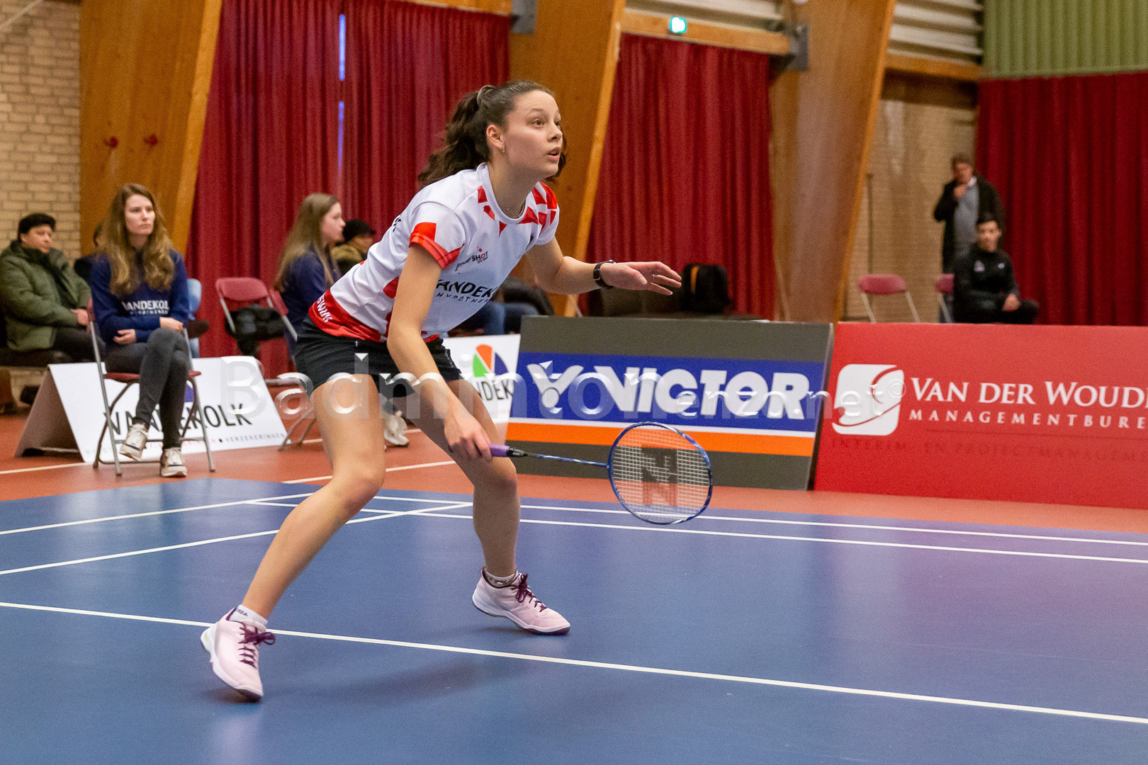 Novi Wieland
