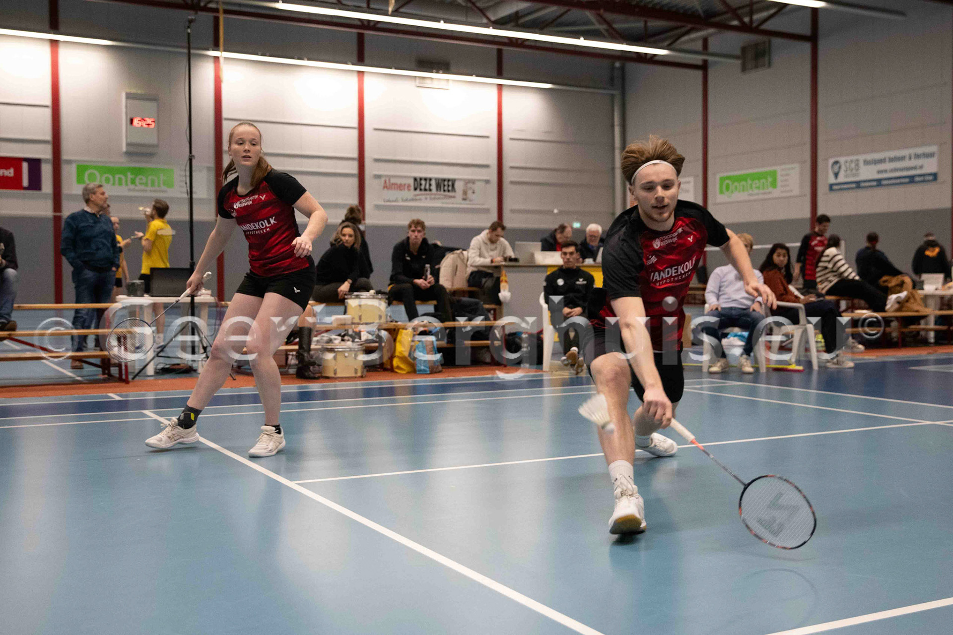 Kelly van Buiten, Adam Pringle
