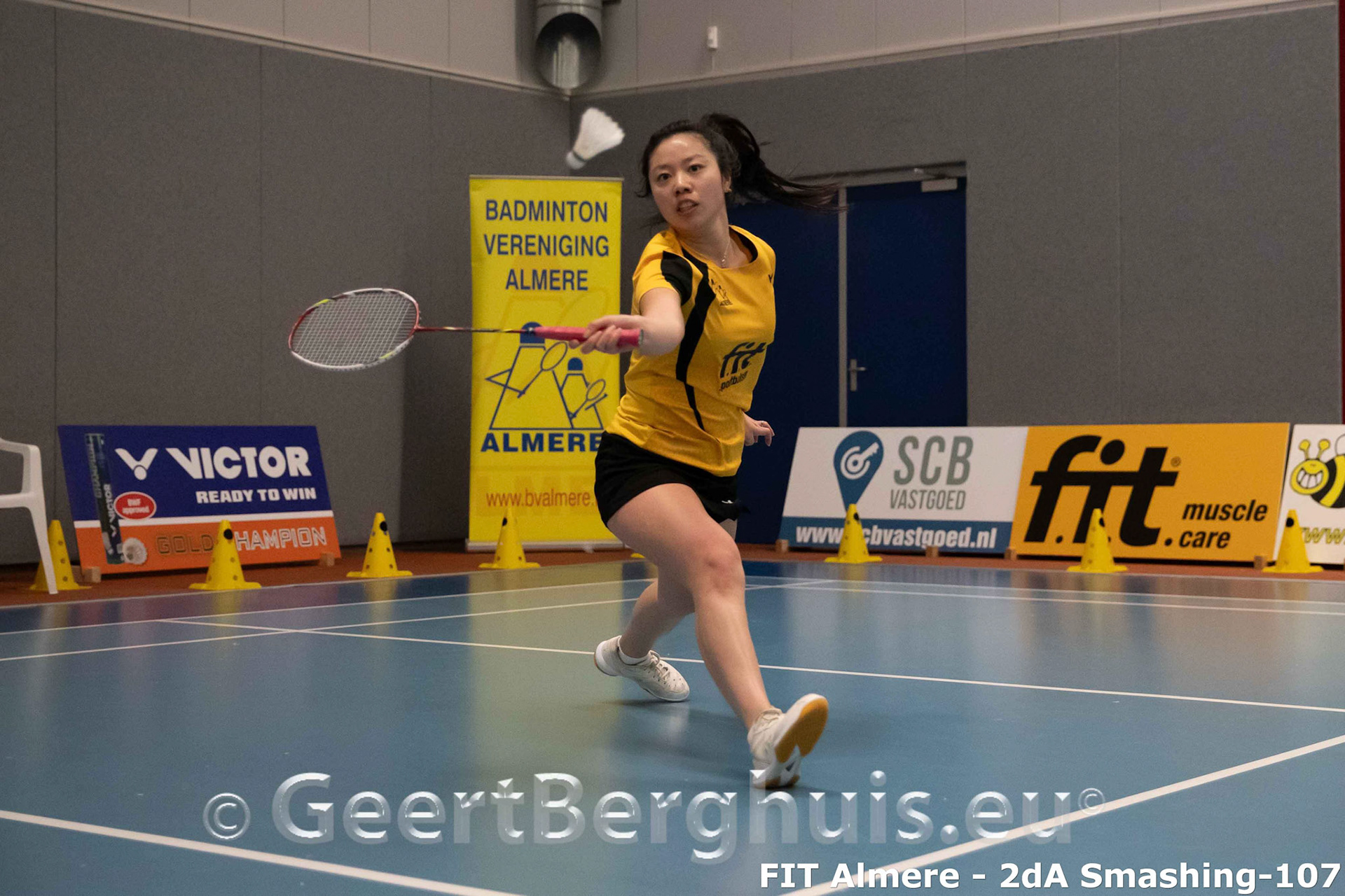 Alida Chen