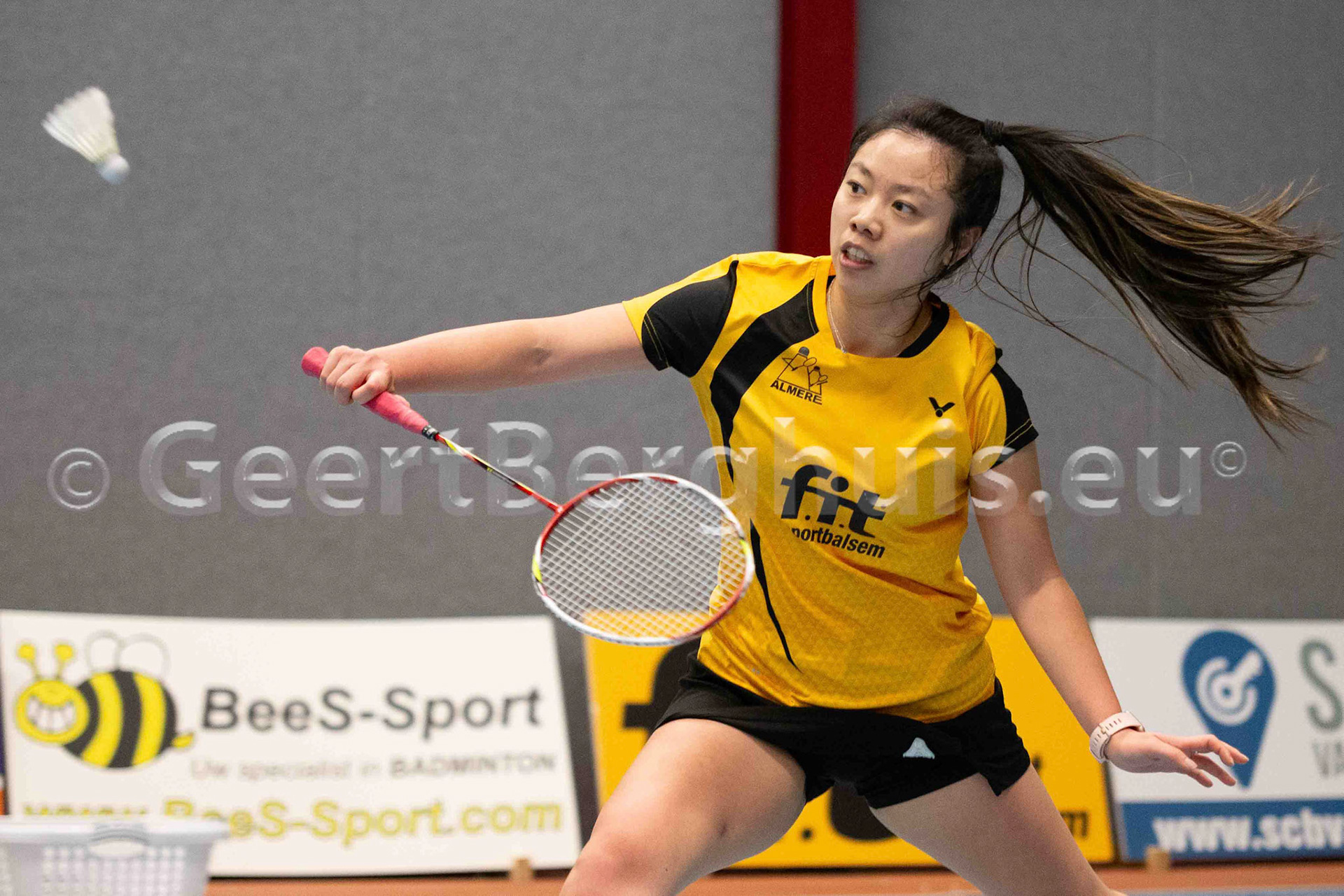 Alida Chen