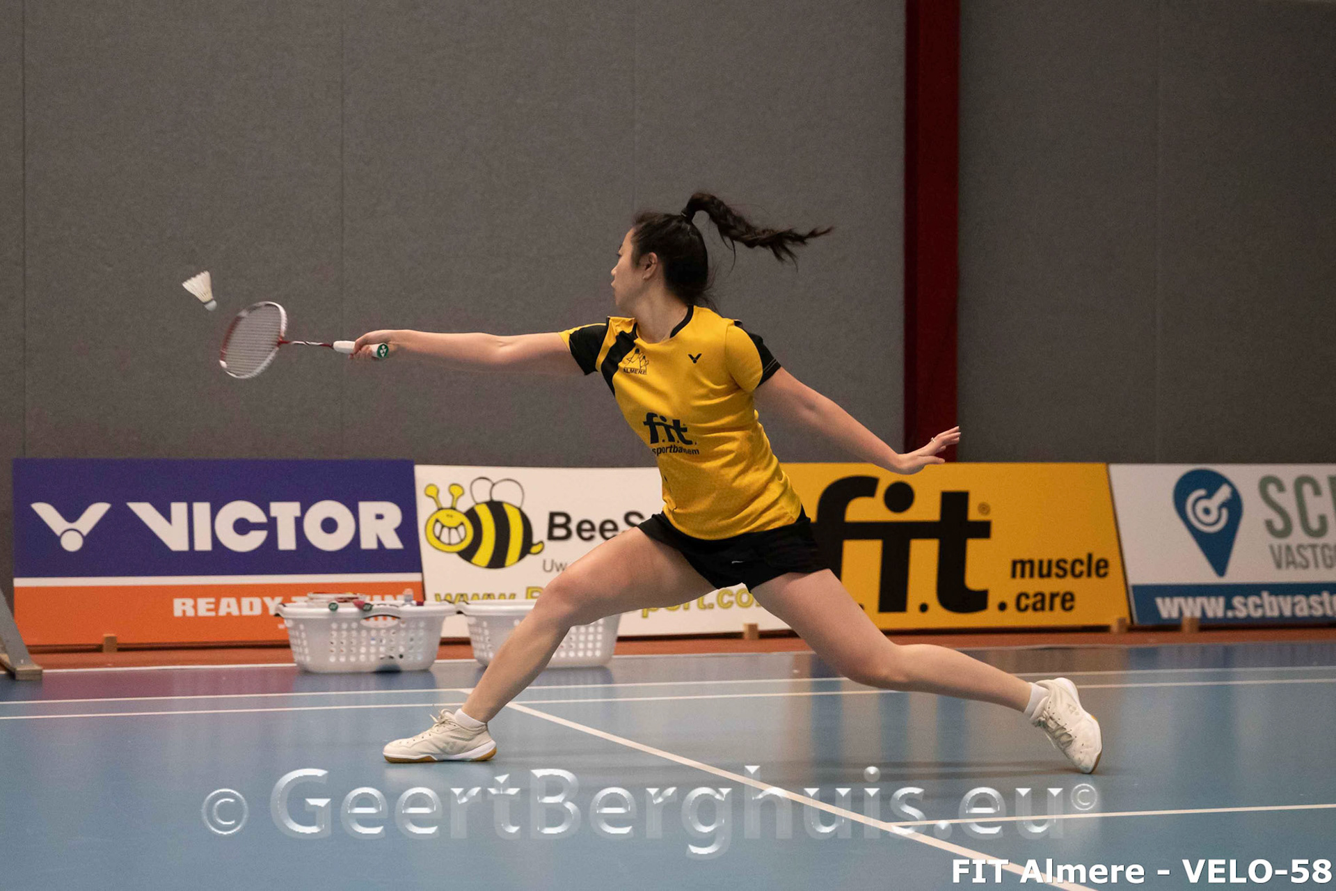 Alida Chen