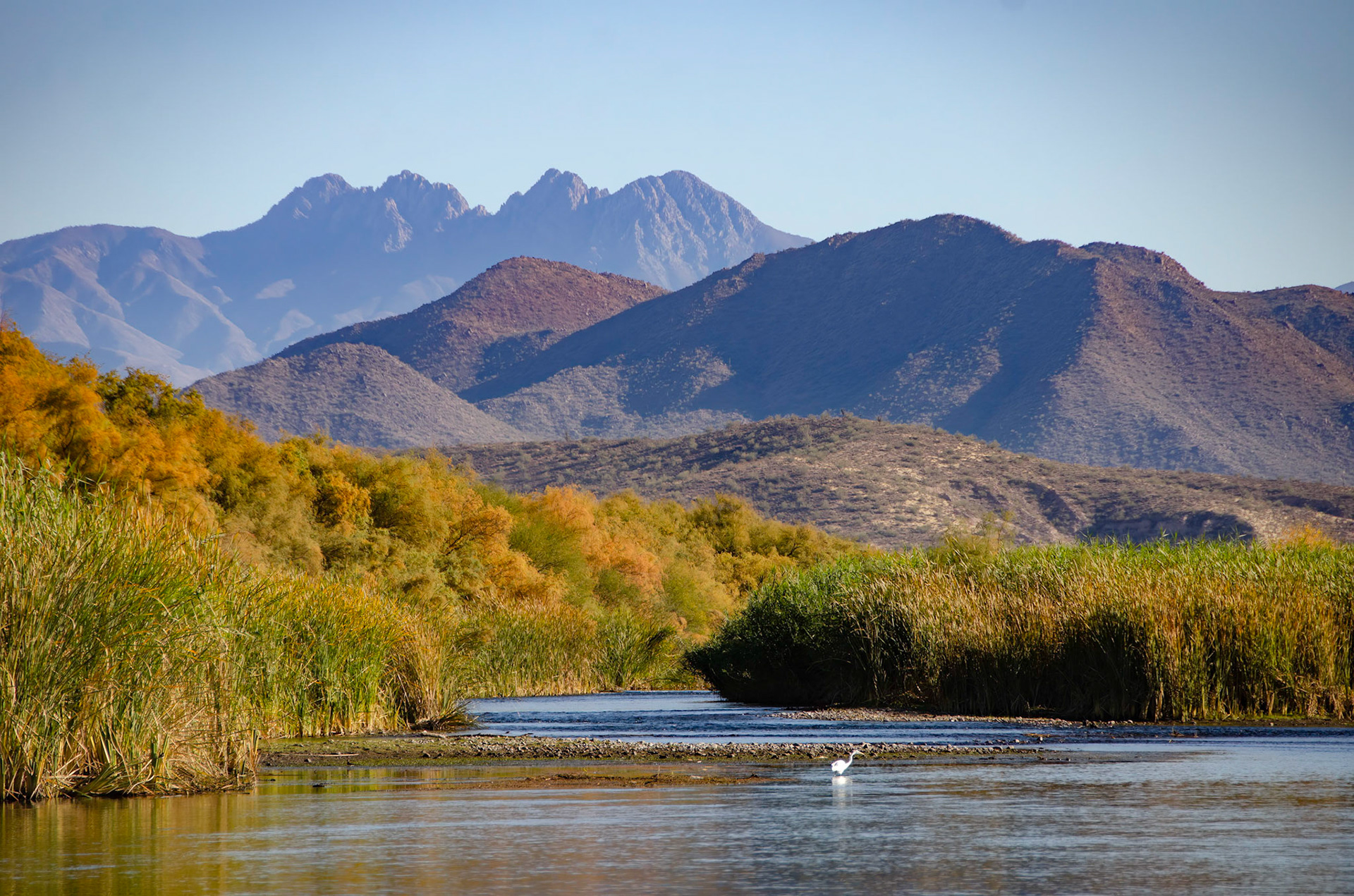 Salt River, 2020