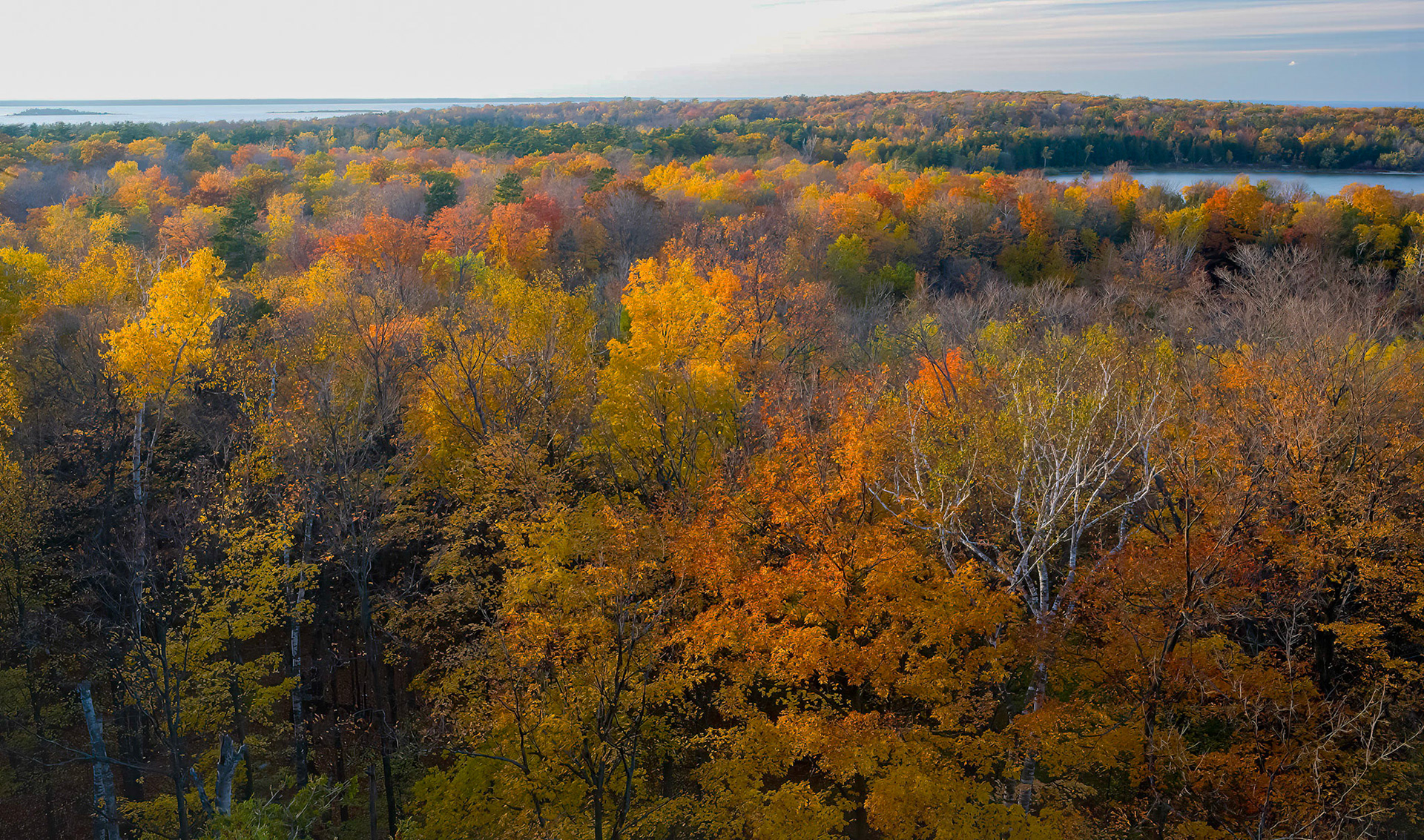Door County, 2008