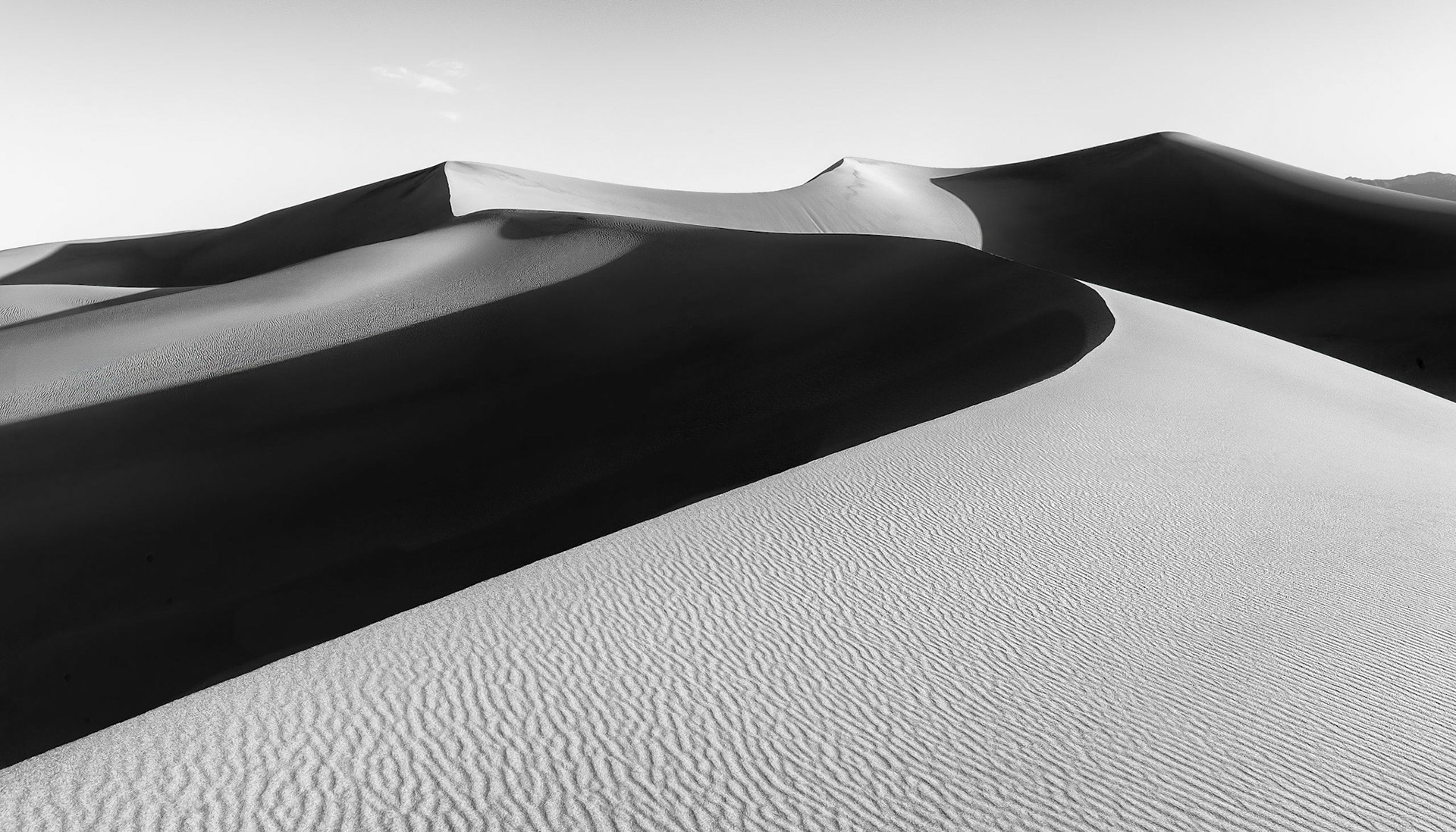Mesquite Dunes, 2016