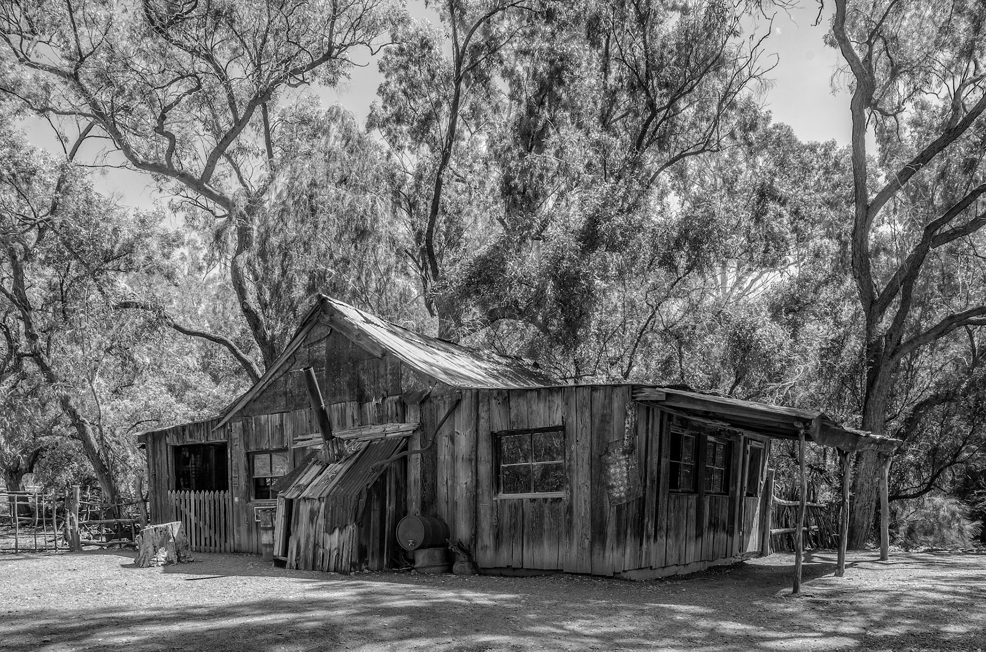 Tack Room. Bpyce-Thompson Arboretum 2021