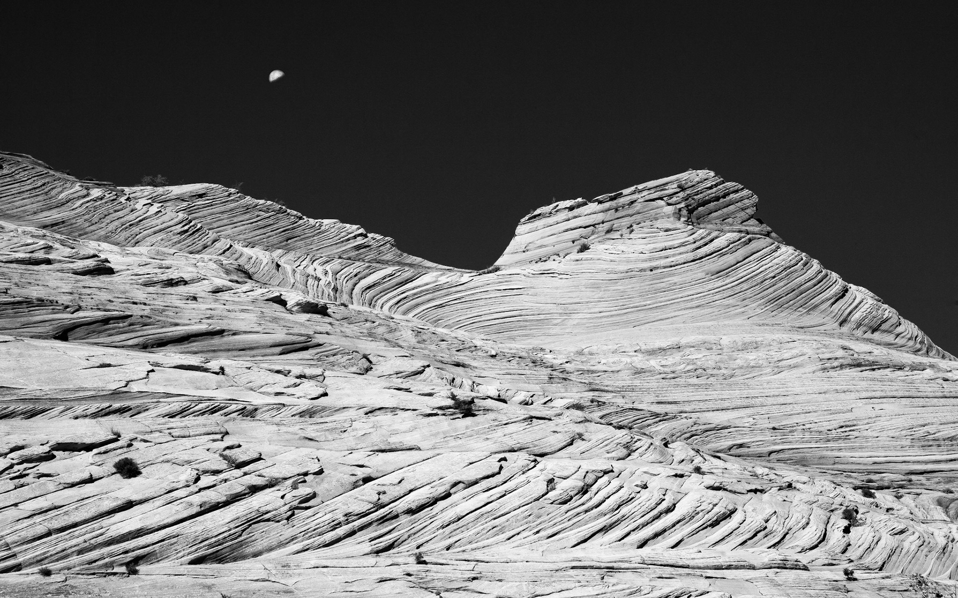 Coyote Buttes, 2013