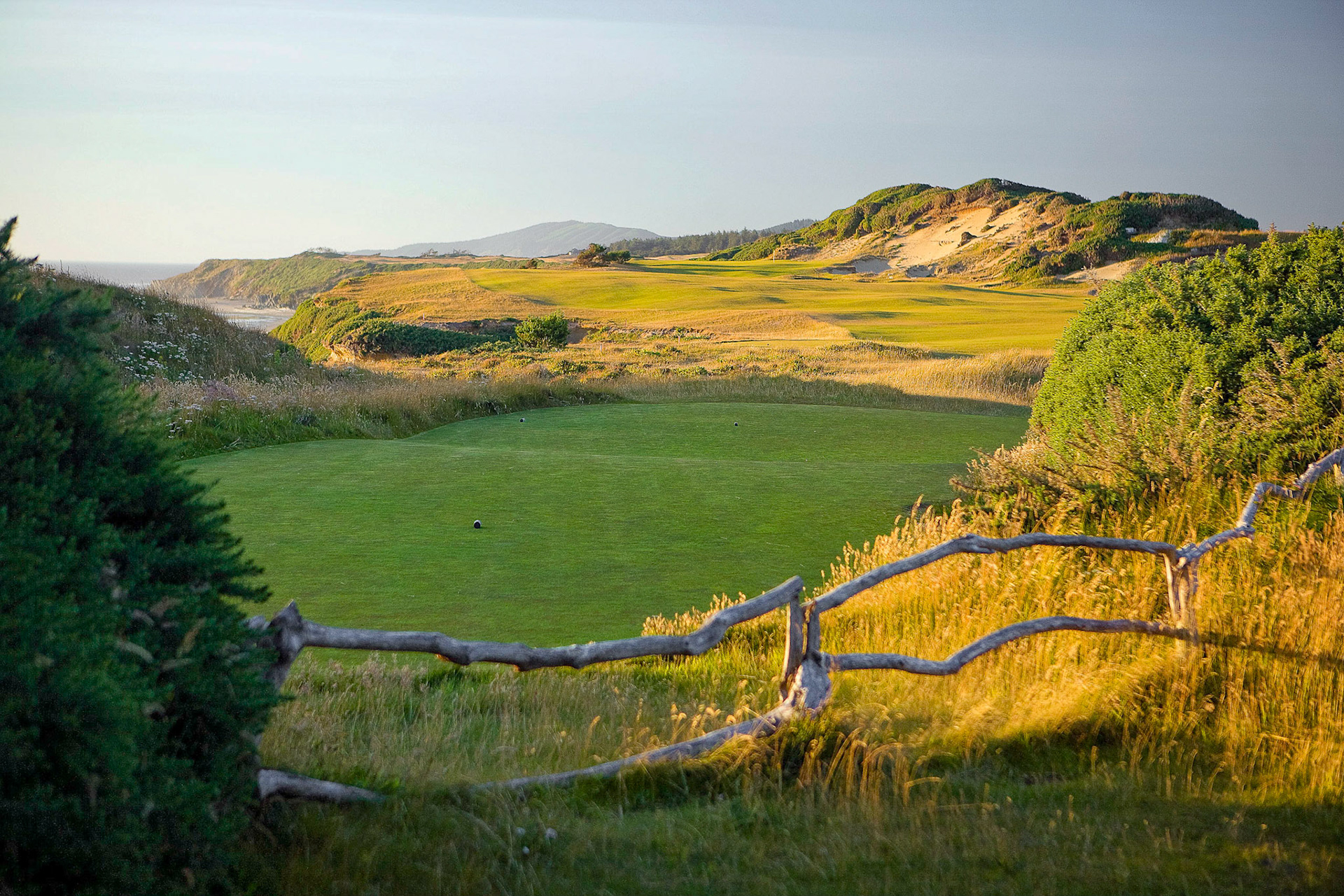 Pacific Dunes