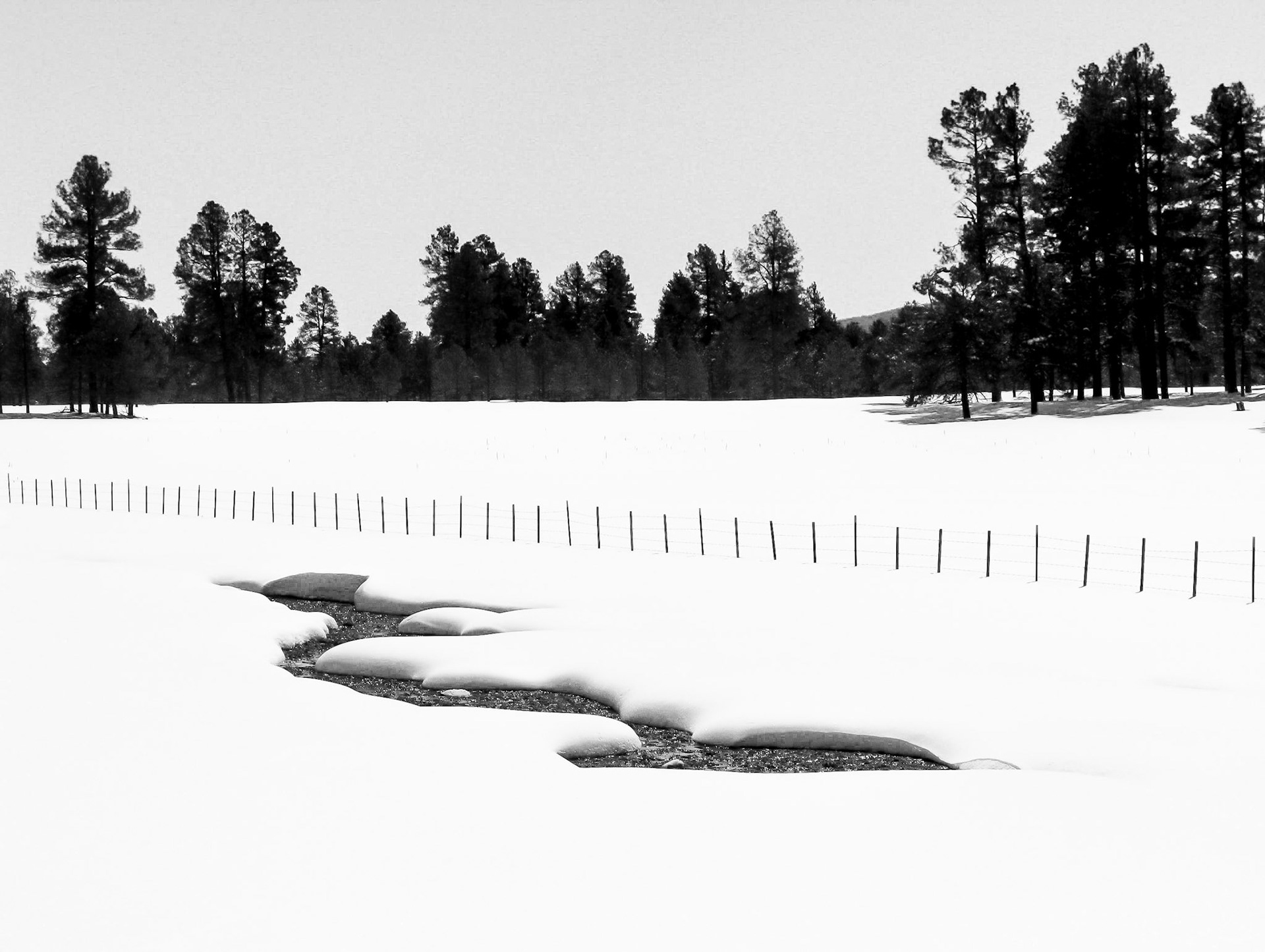 White Mountains, 2013