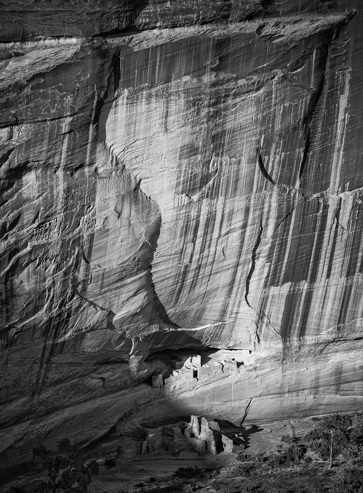 White House Ruins, 2009