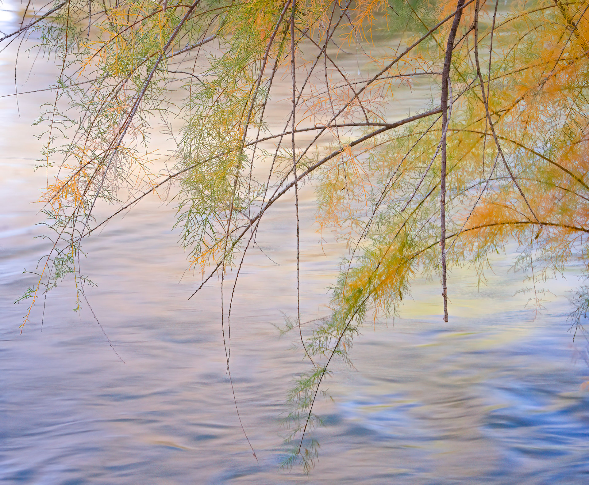 Verde River, 2021