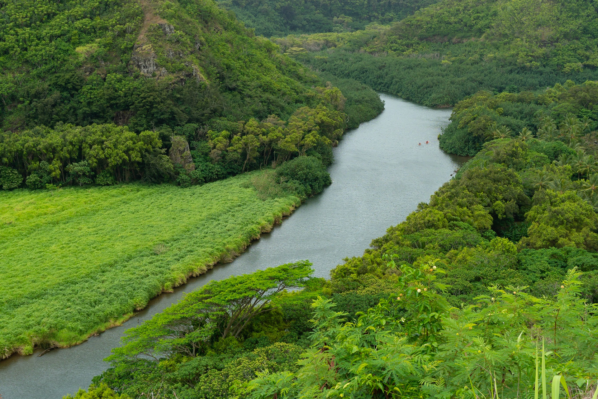 Wailua River, 2022