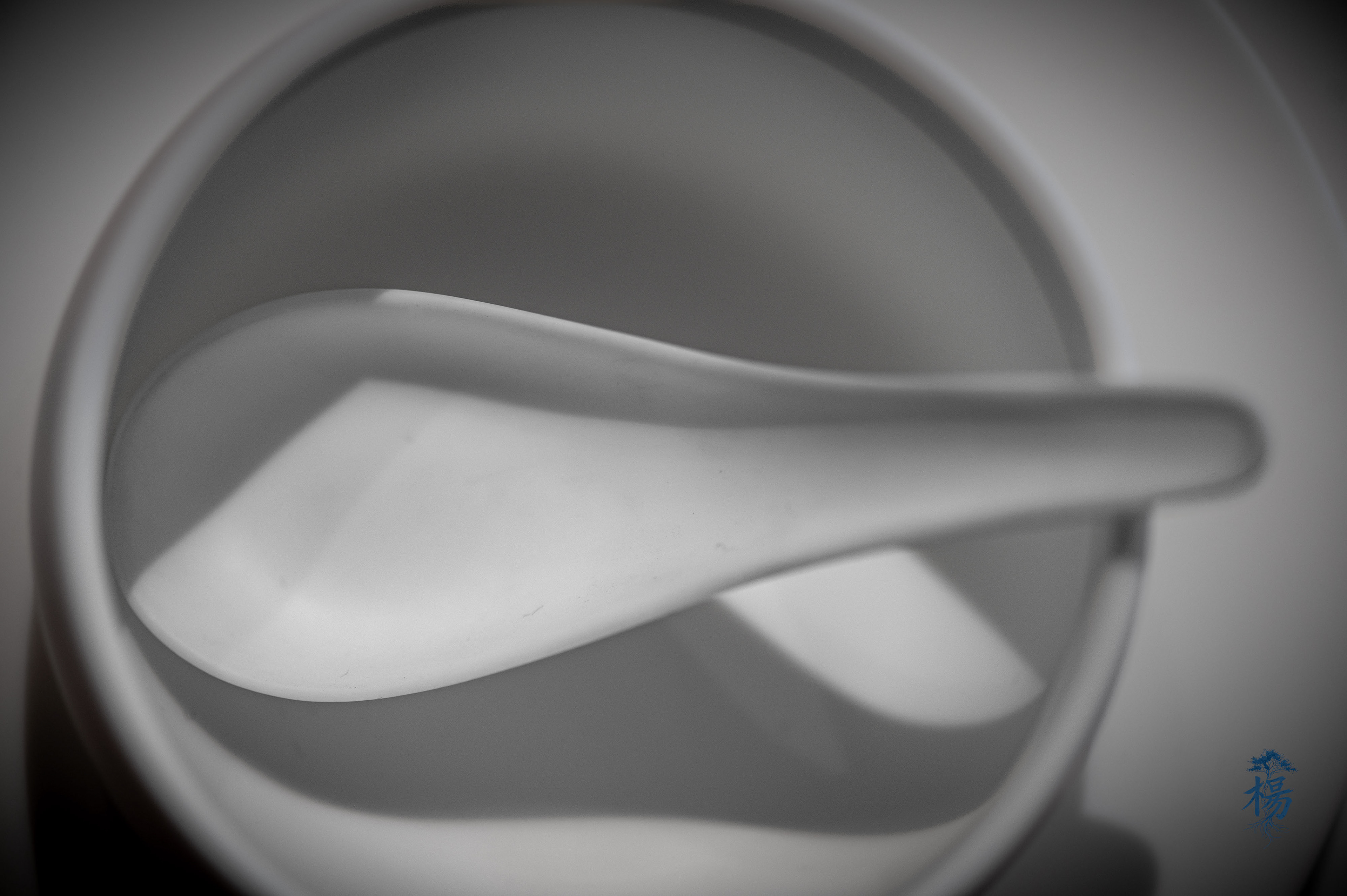 White Dine • Xiamen China • 2025