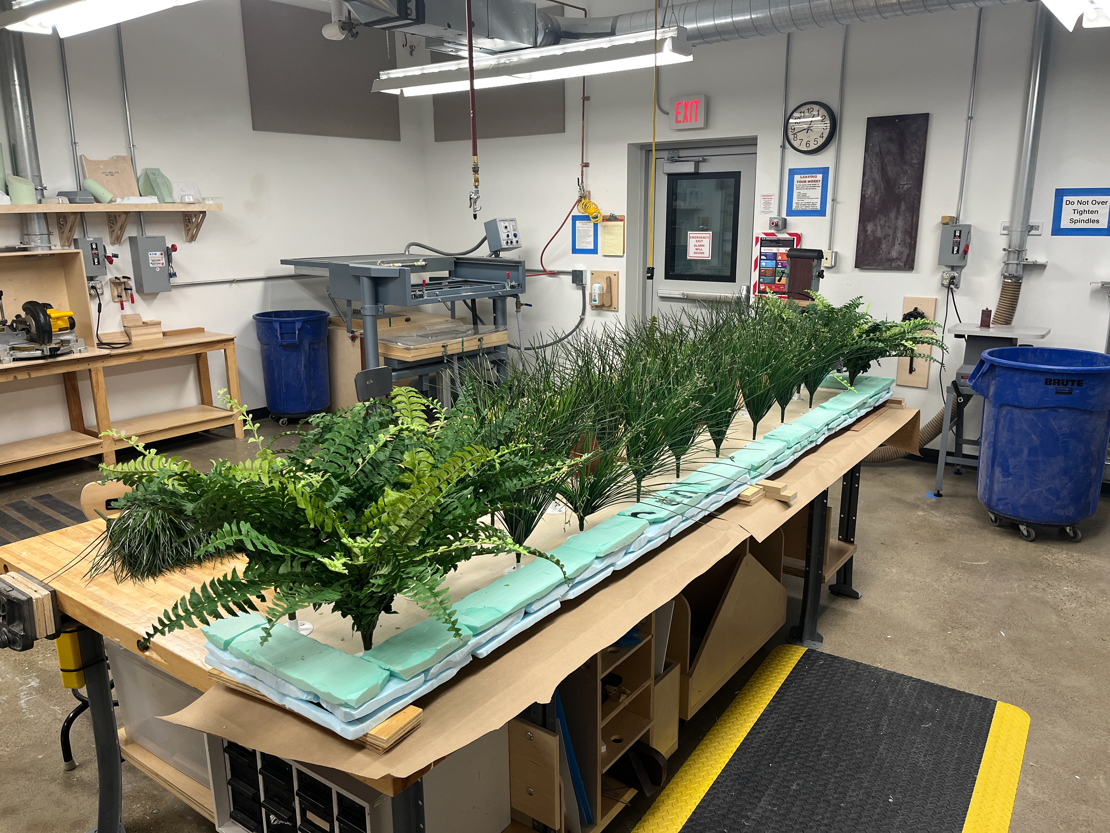 The unpainted stones with plants.