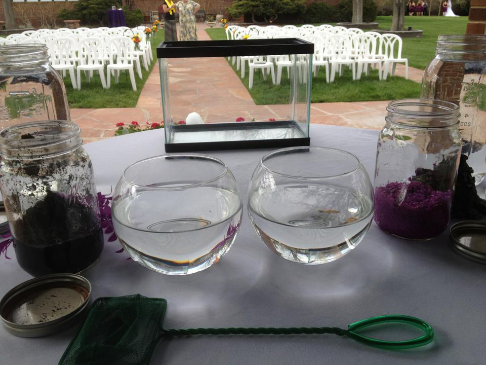 Rev. Kim Tavendale officiating a fish tank unity ceremony at the Dove House at The Lionsgate Center, Lafayette, CO