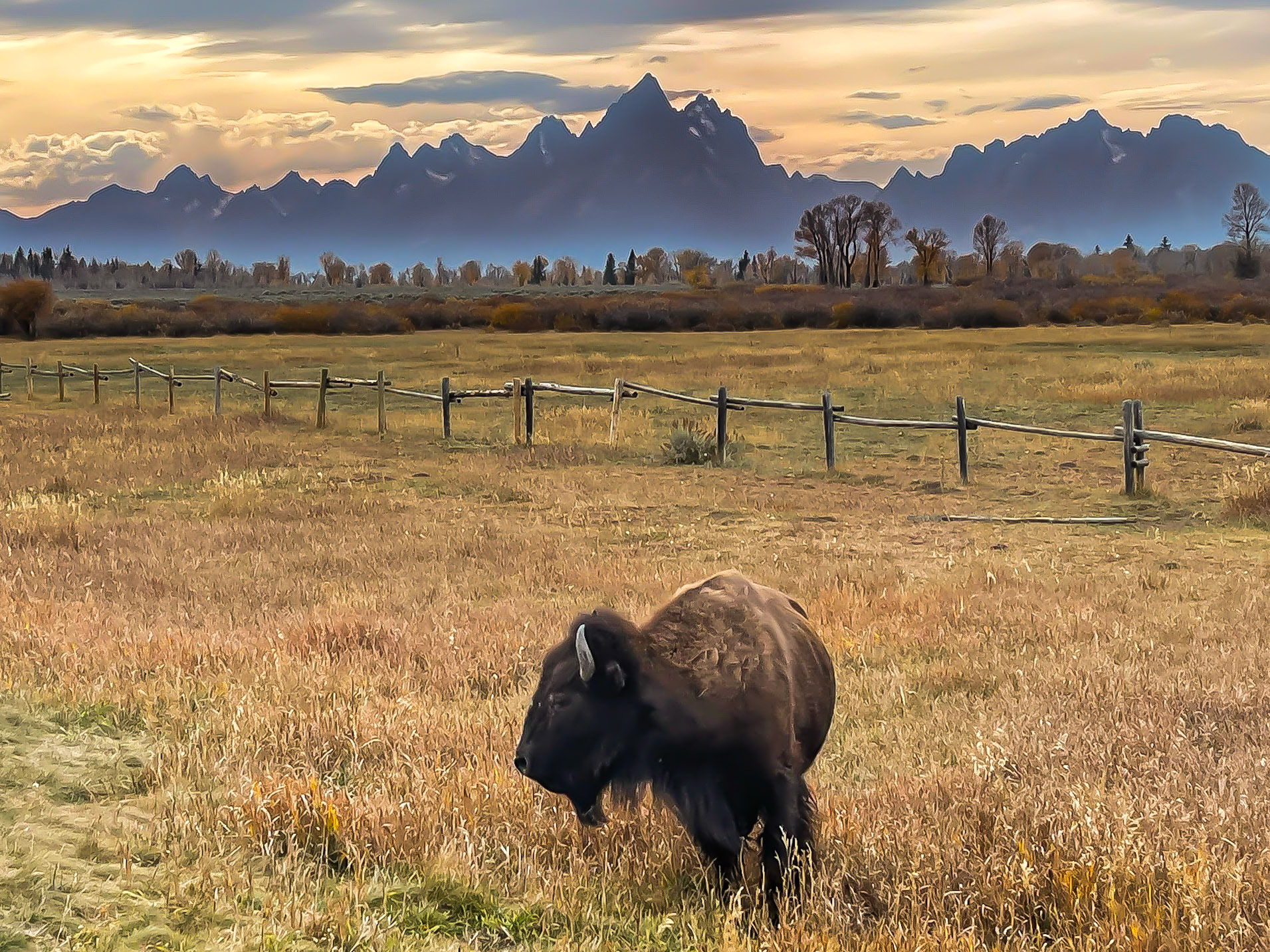 Elk Ranch Flats Turnout - Wyoming