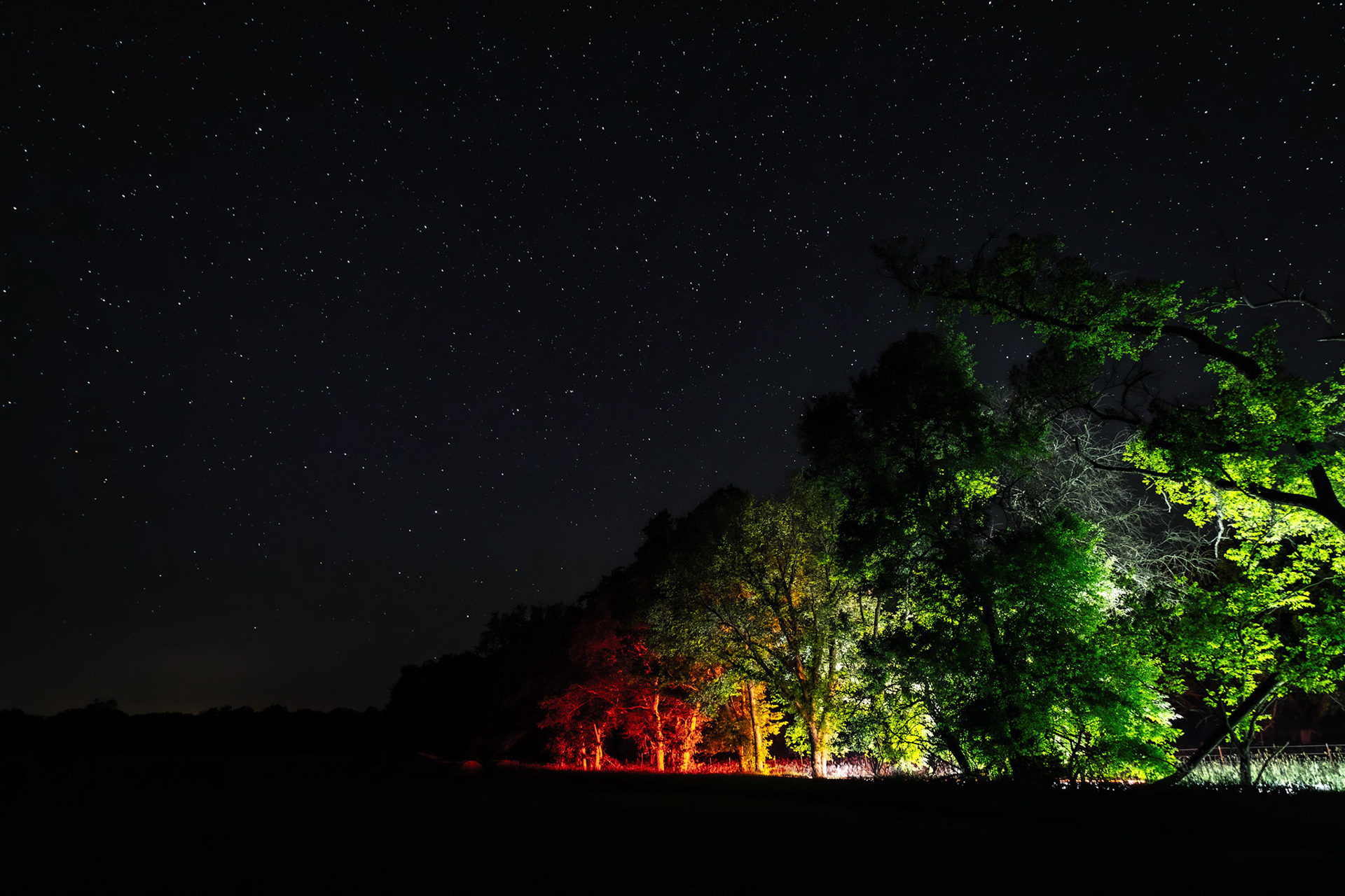 Kansas Night Sky/Light Painting of Trees