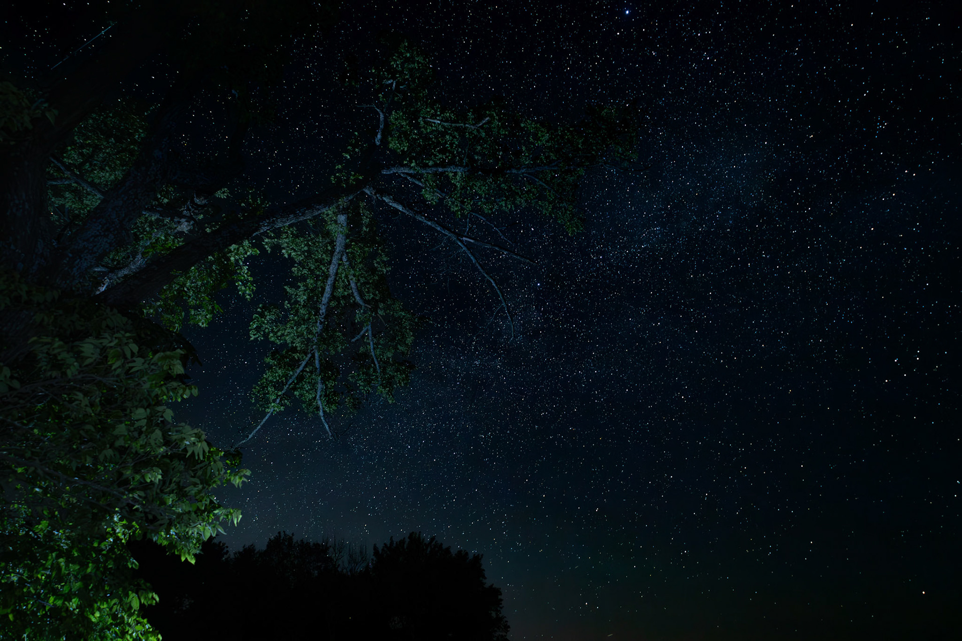 Kansas Night Sky/Light Painting of Trees