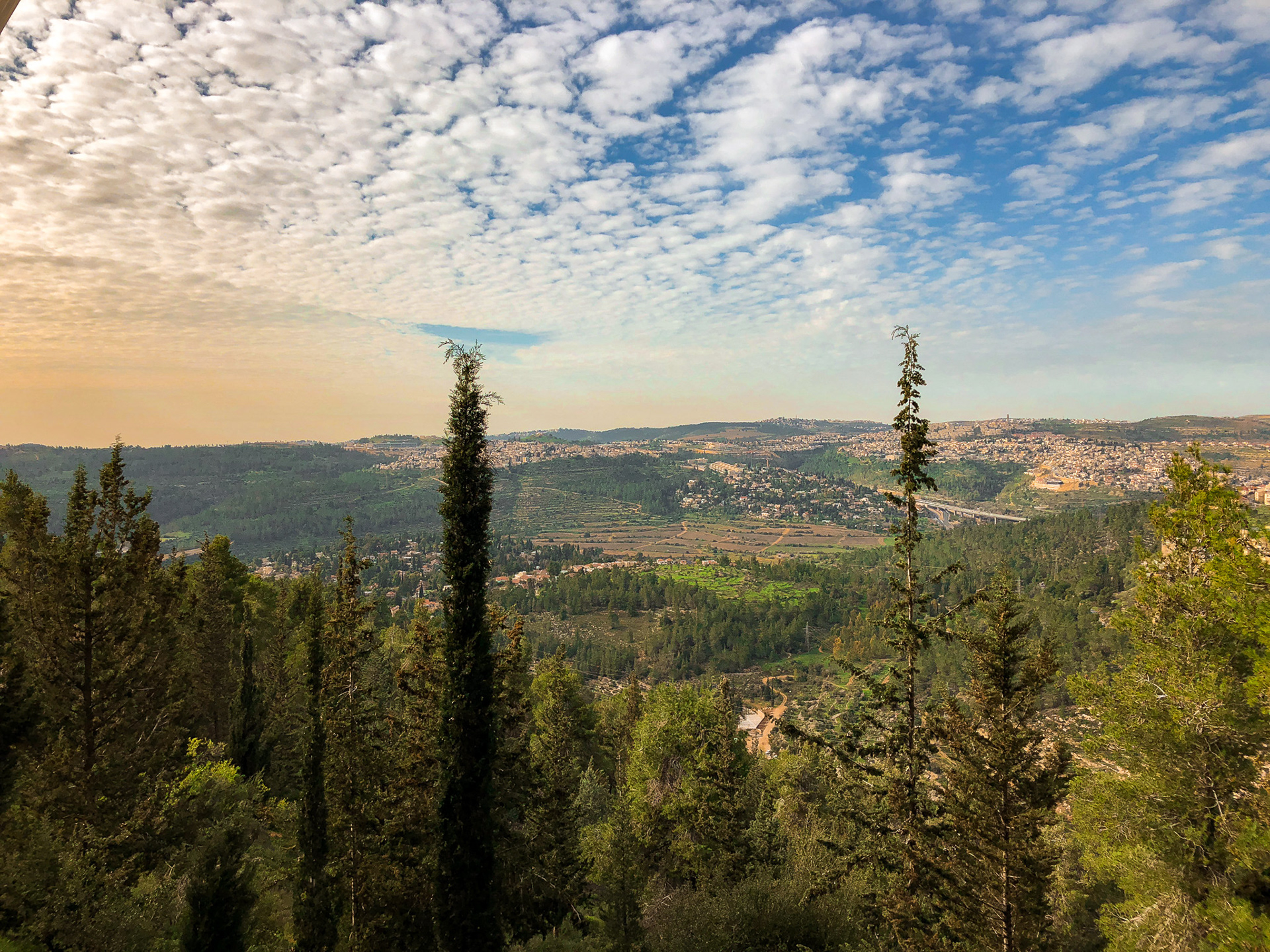 Jerusalem National Forrest, Israel
