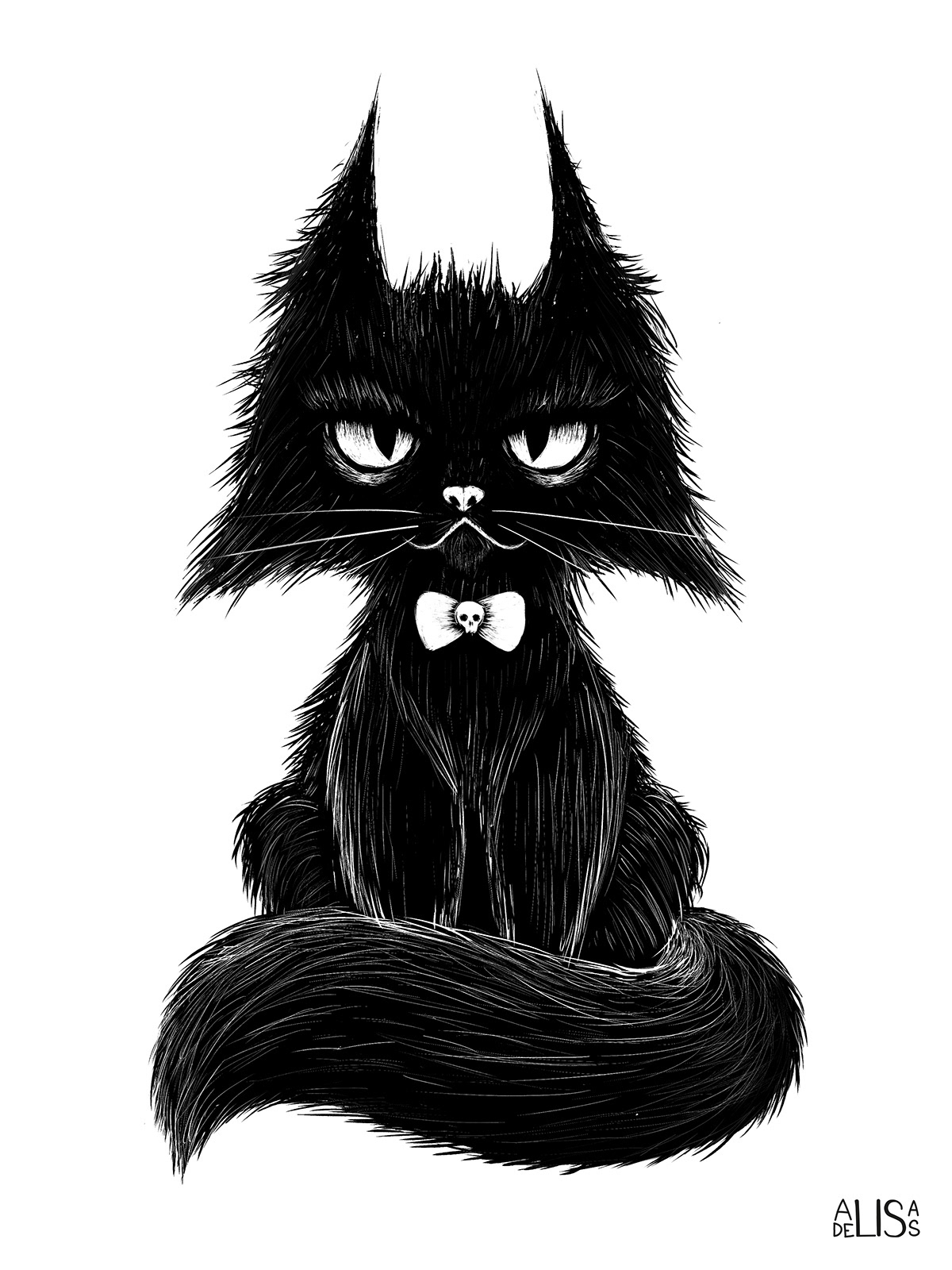 a cat