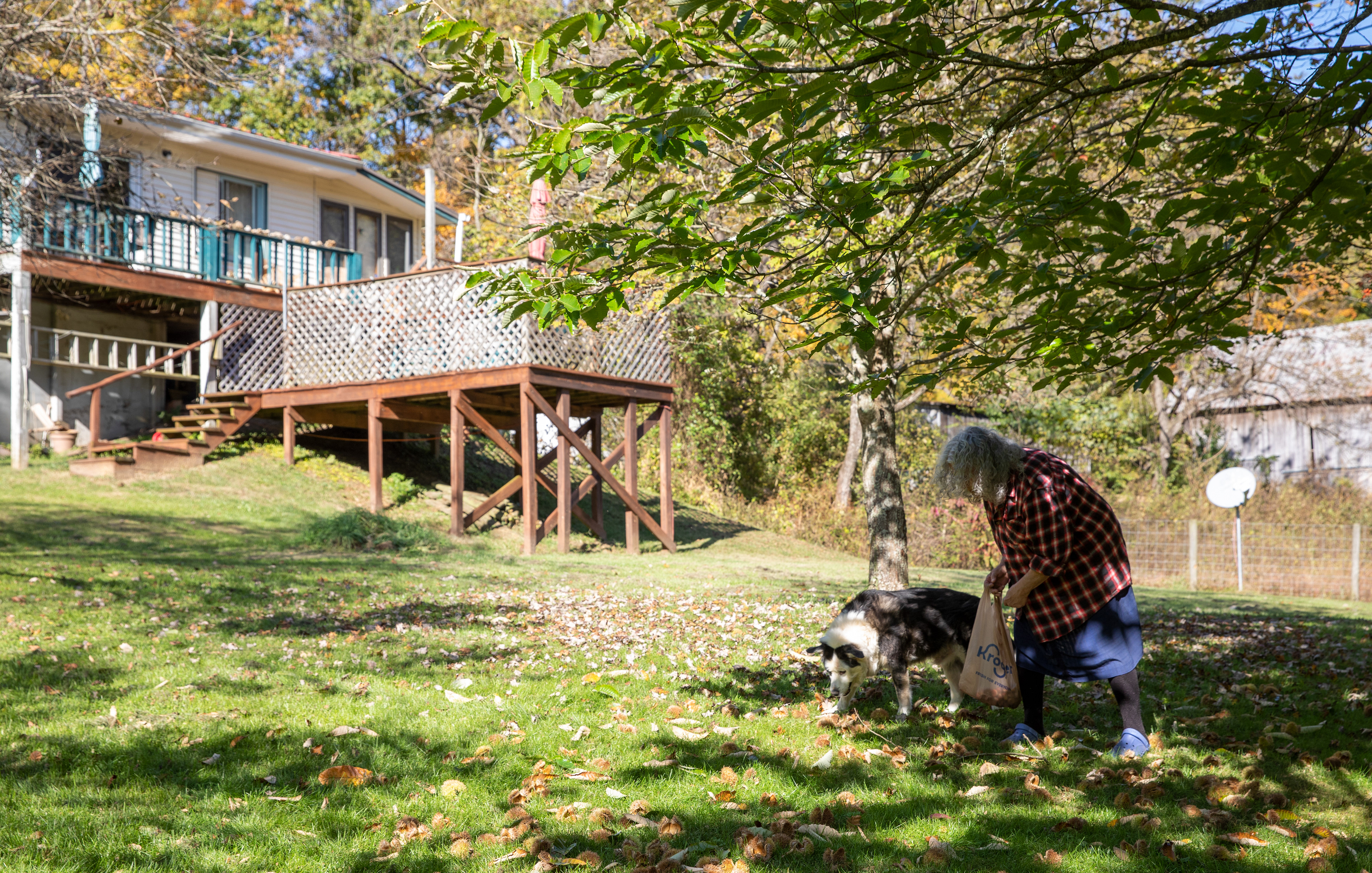Susan Abramovitz, 71, and her dog, Sparky, 16 looking for chestnuts in the backyard near Rock Riffle Run Pottery on October 10, 2022.