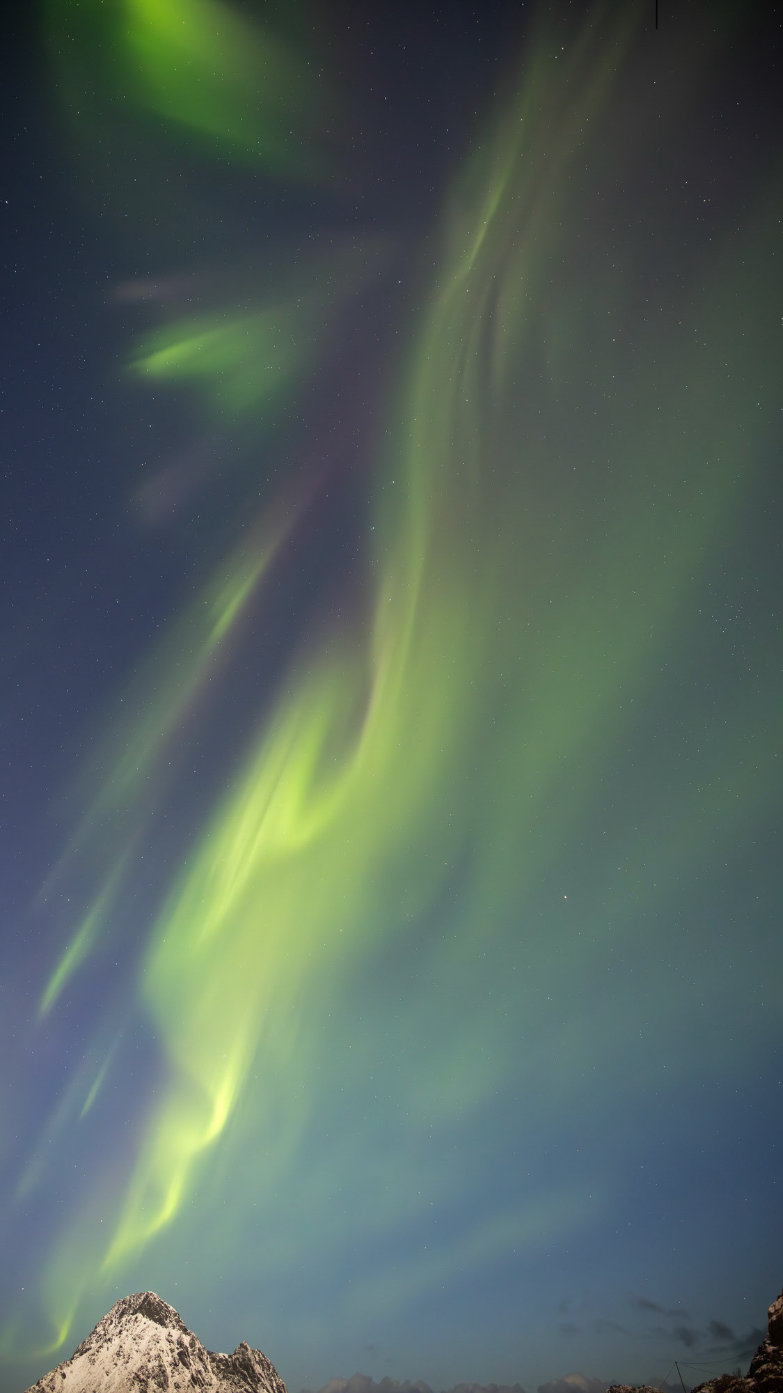 we were fortunate to see them on a few nights