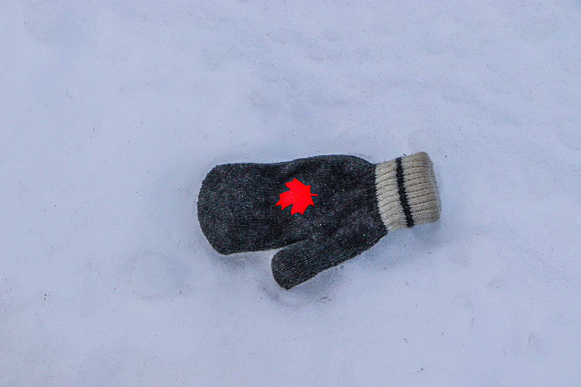 The lost and found but no claimer.