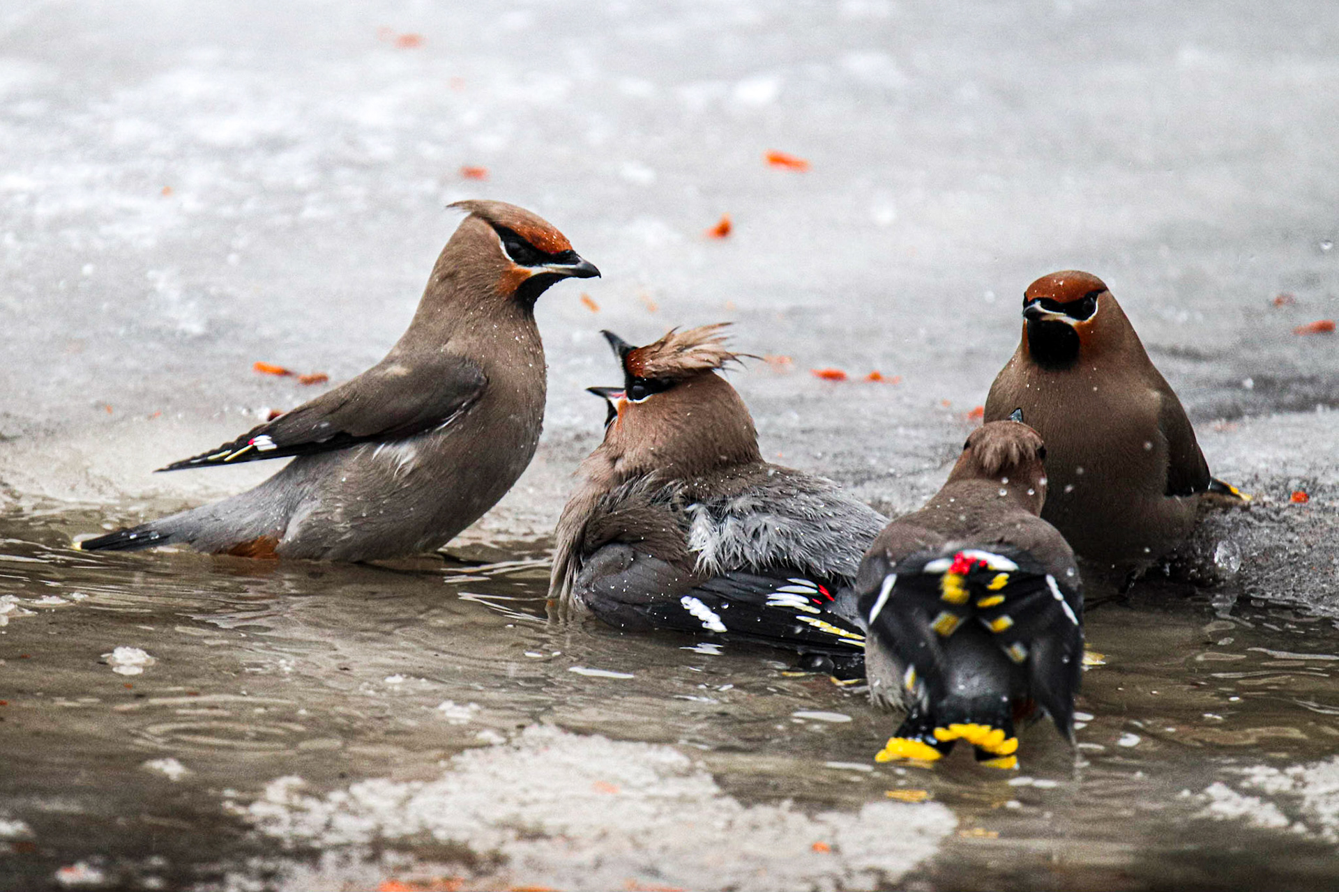 Hey guys, you're crowding us.