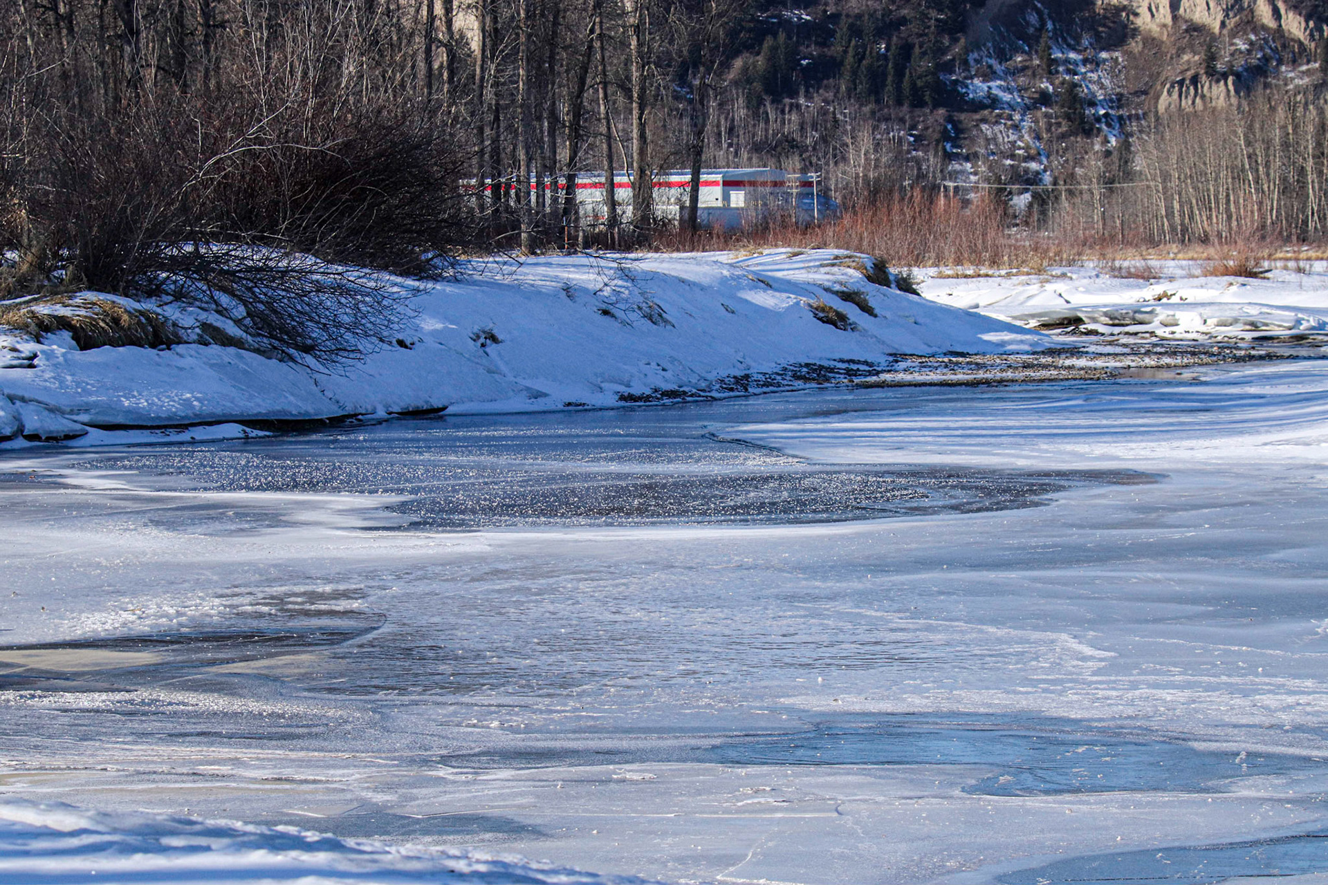 It was open and full of ducks yesterday