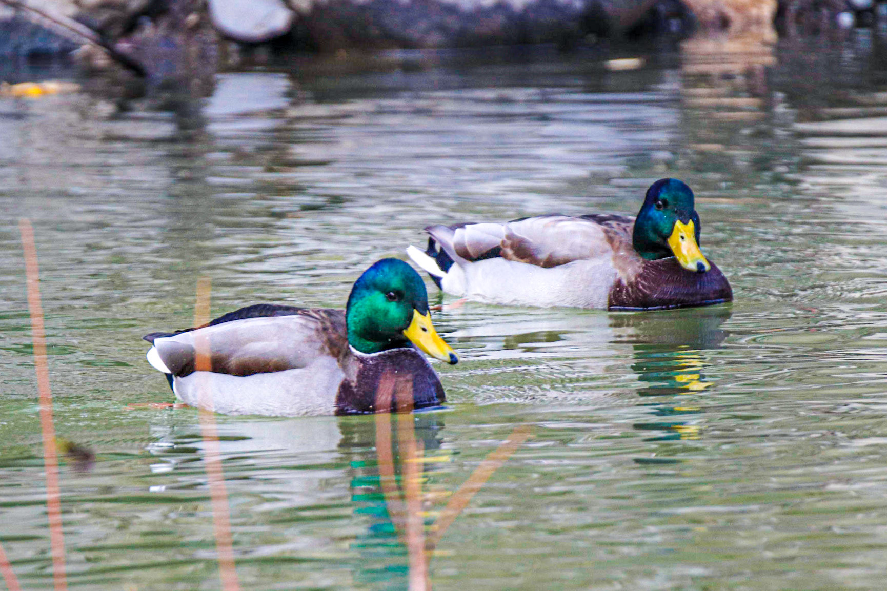 Us guys gotta stick together.